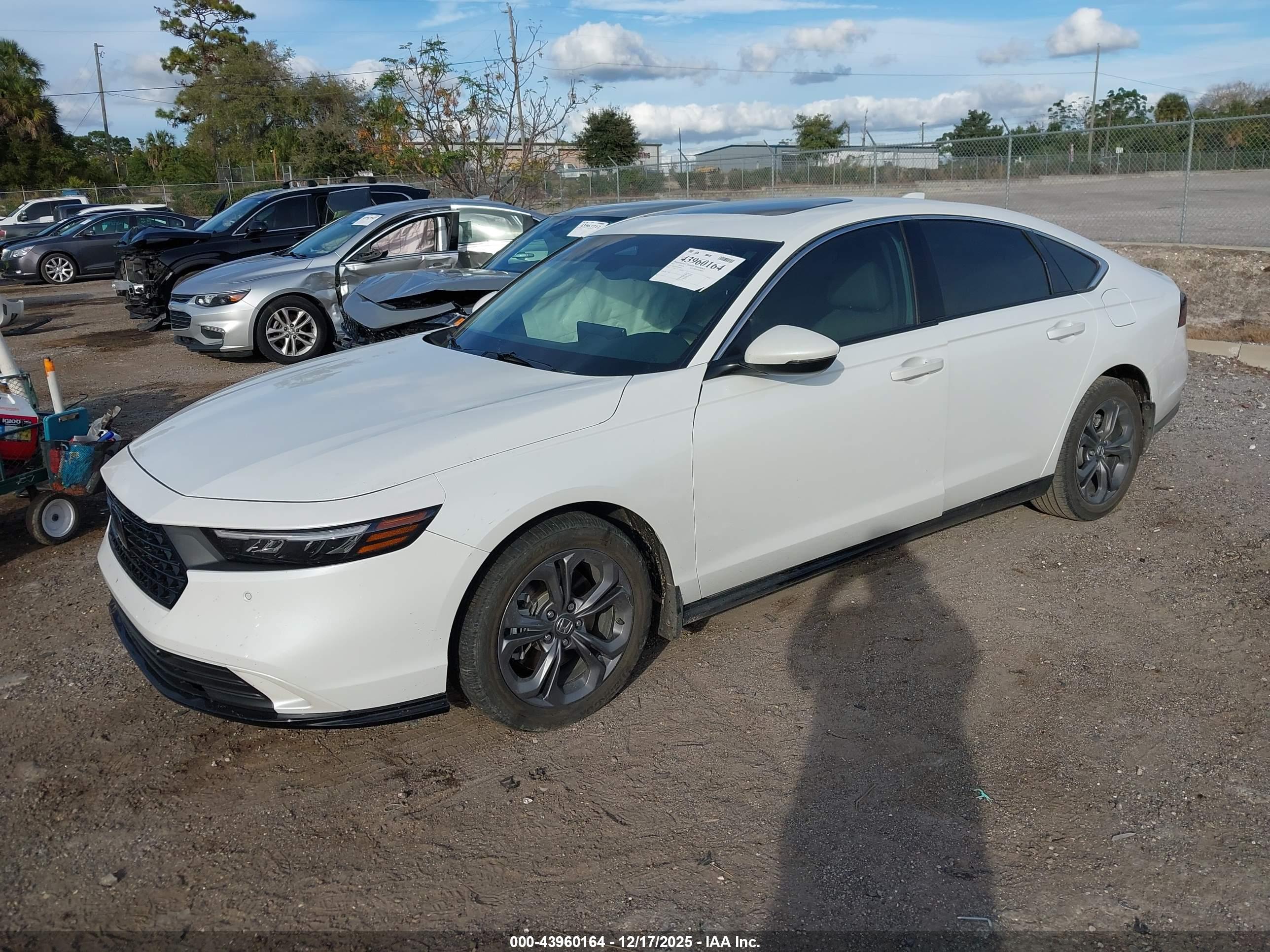 HONDA ACCORD image 2