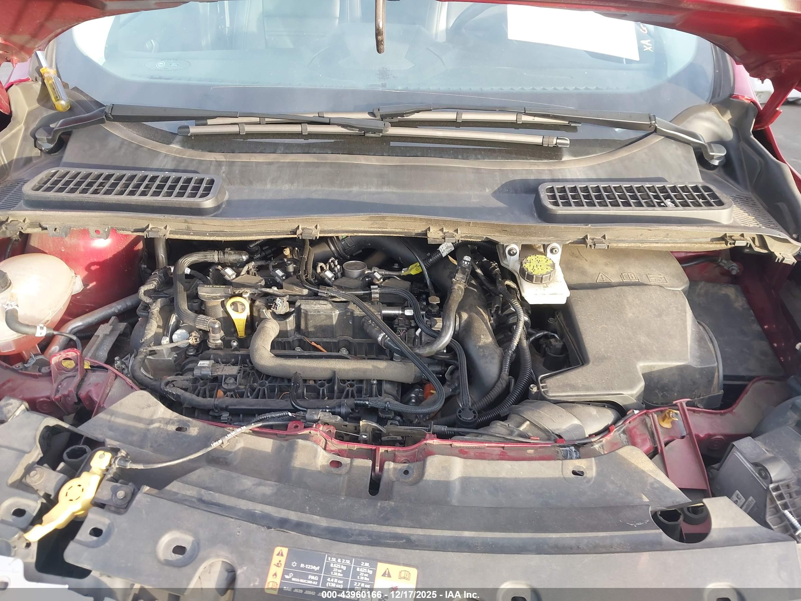 FORD ESCAPE image 10