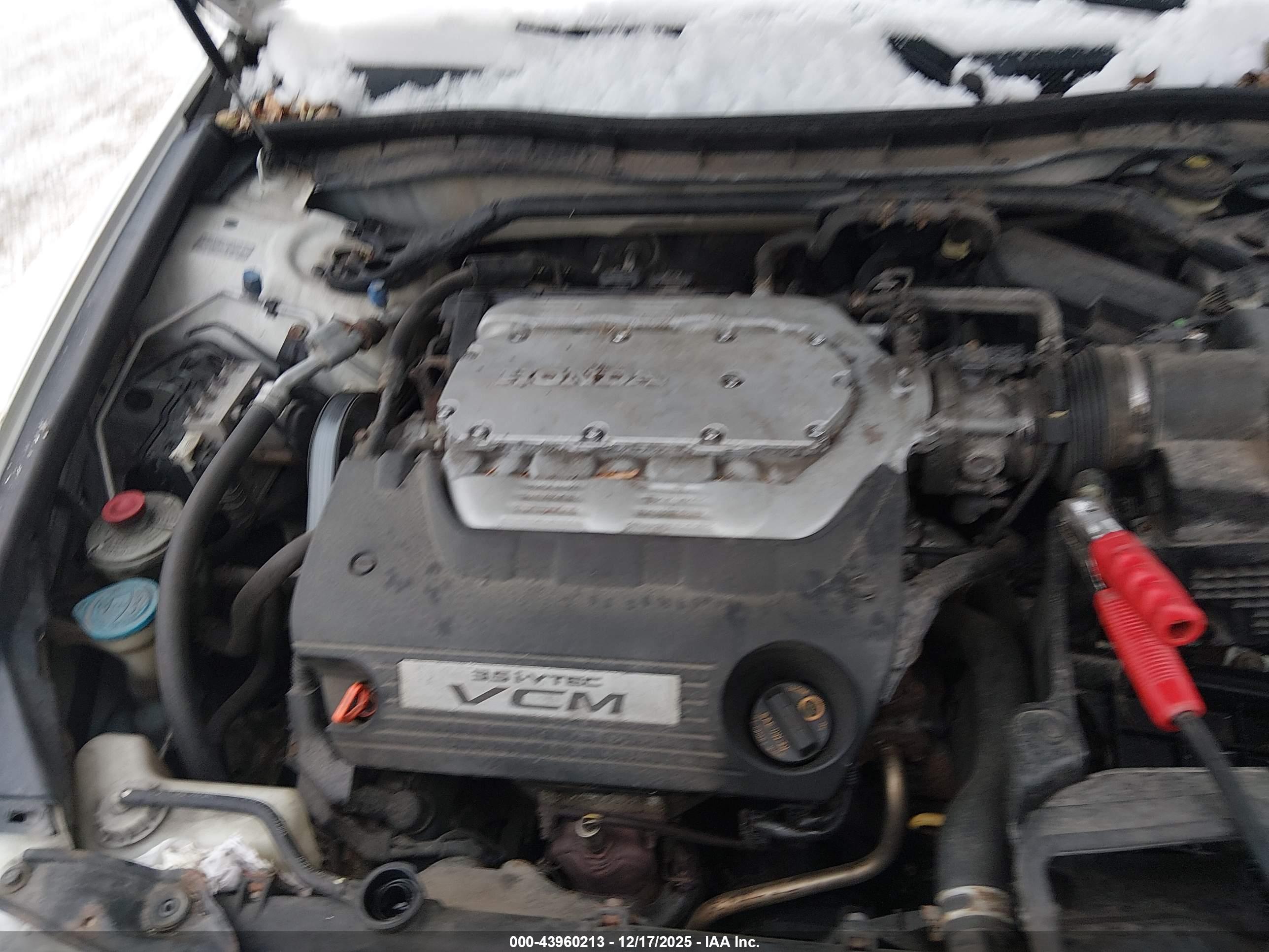 HONDA ACCORD image 10