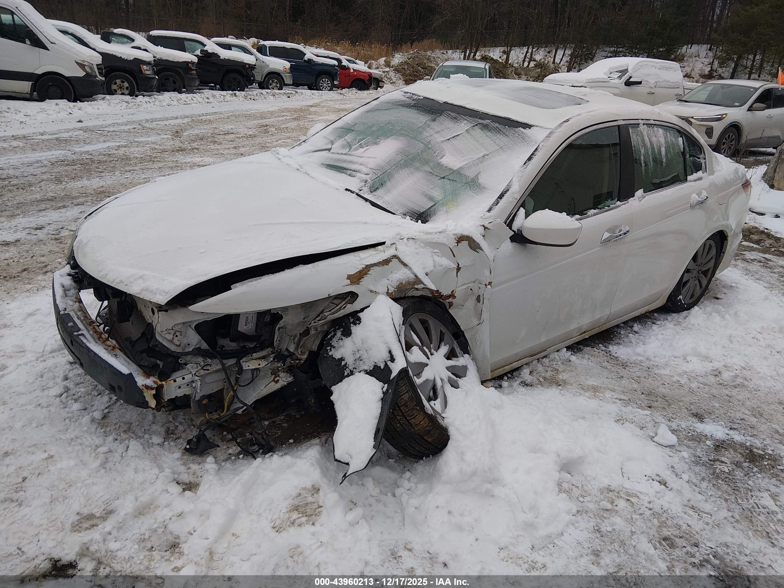HONDA ACCORD image 2