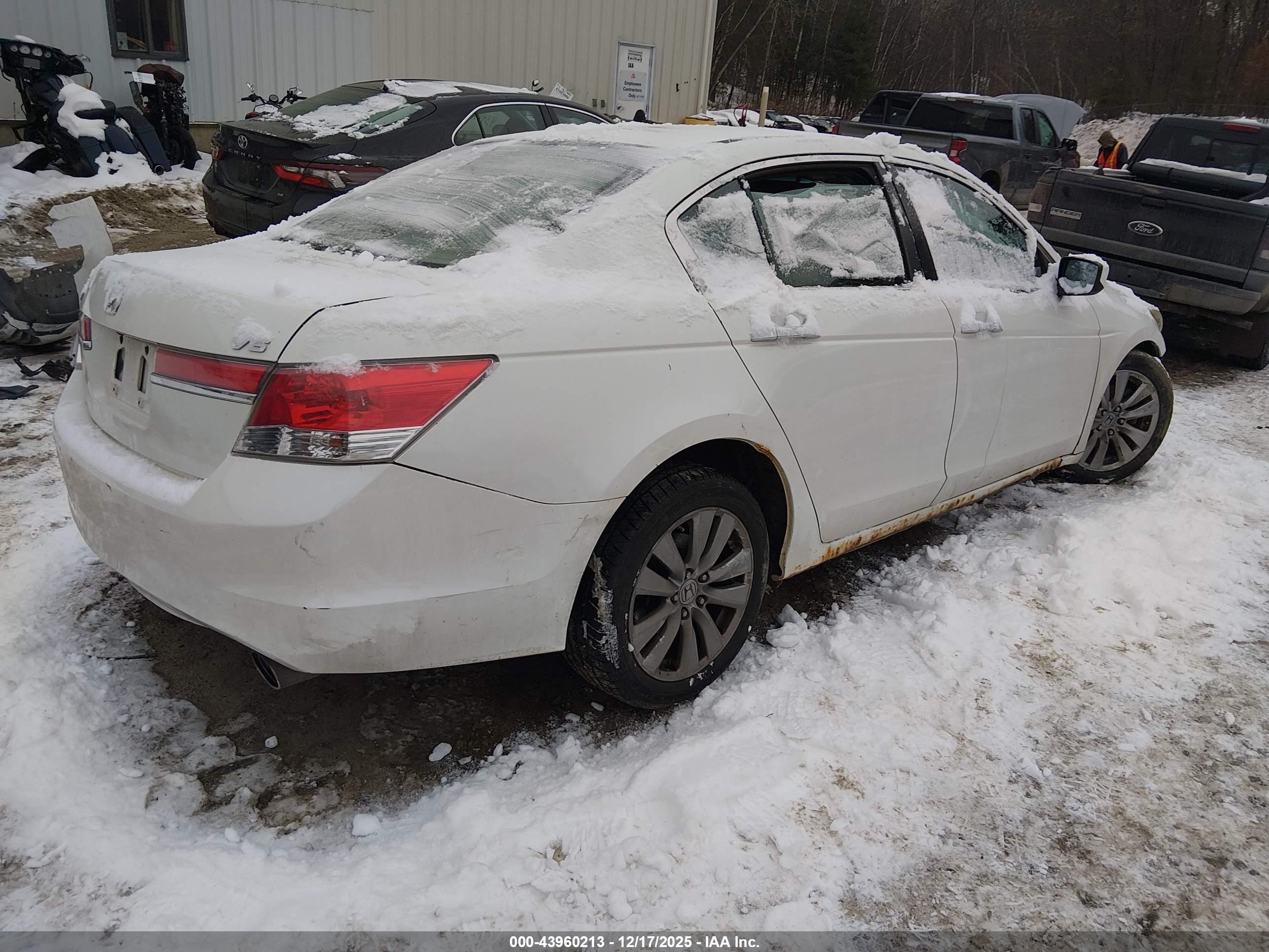 HONDA ACCORD image 4
