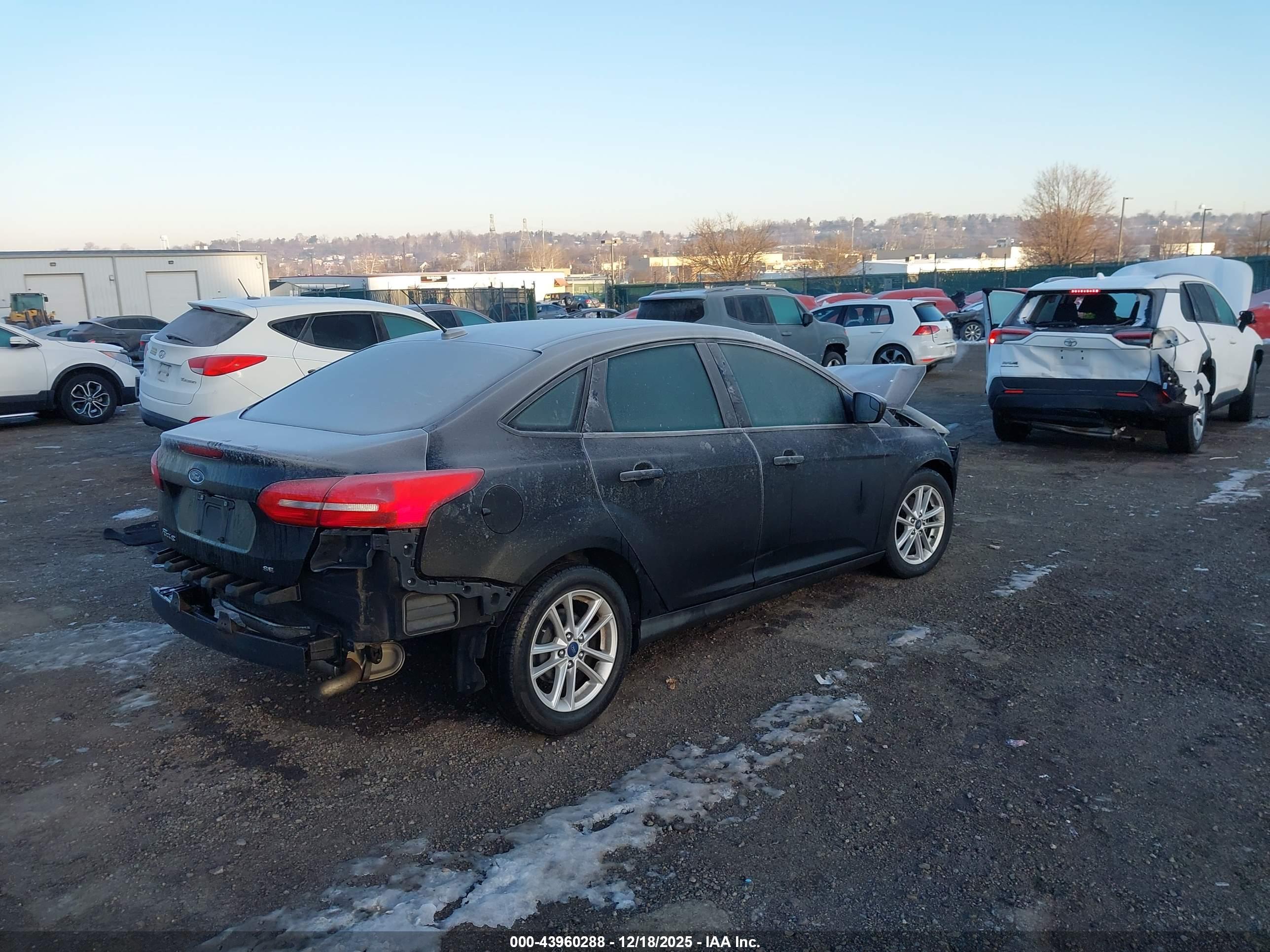 FORD FOCUS image 4