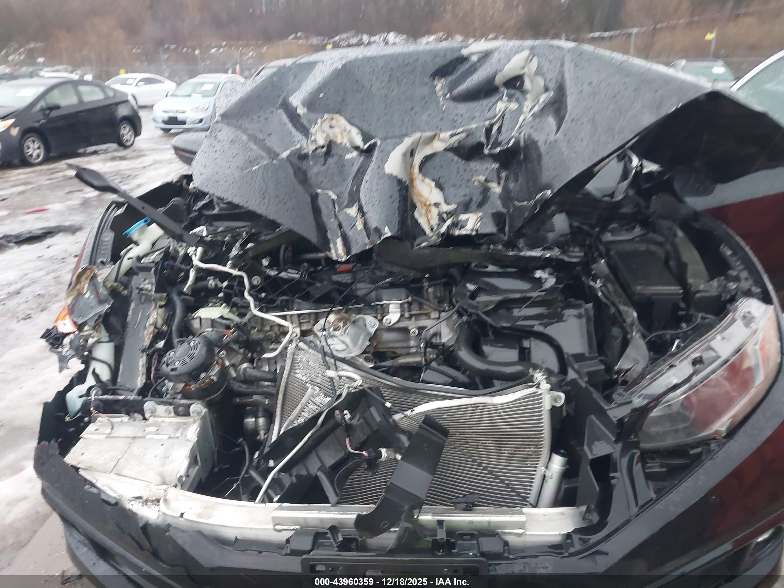HONDA CIVIC image 10