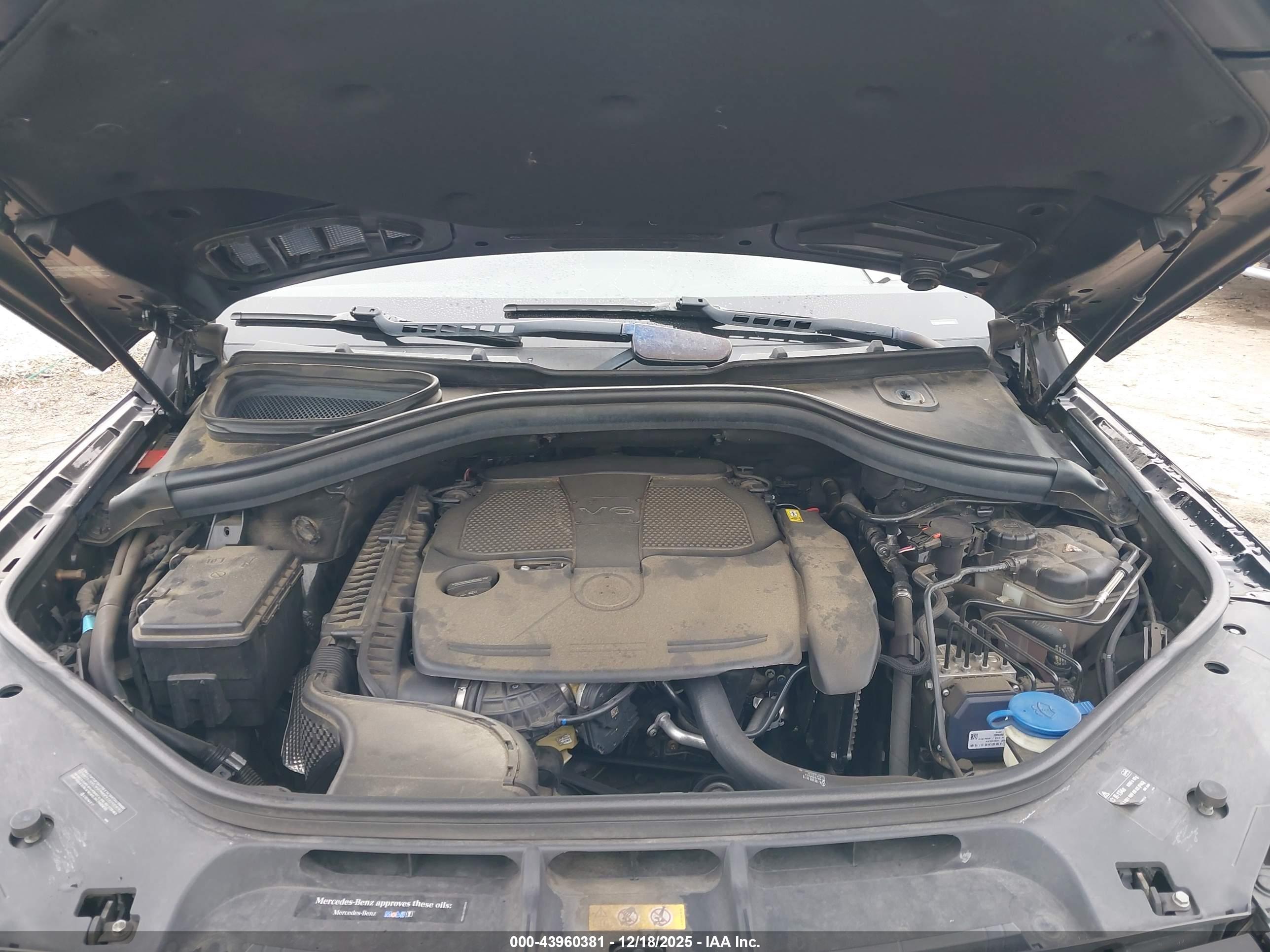 MERCEDES-BENZ ML image 10