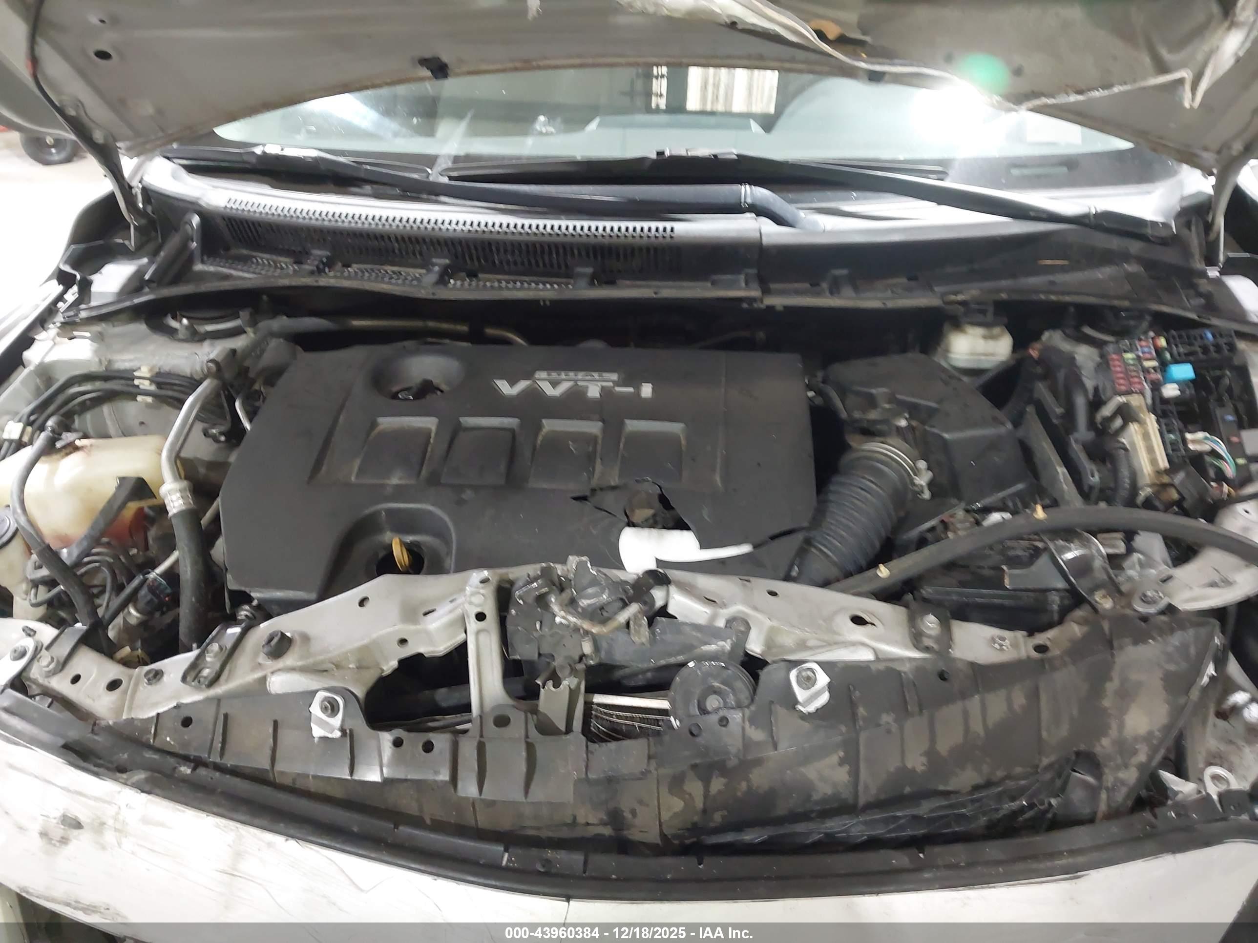 TOYOTA COROLLA image 10