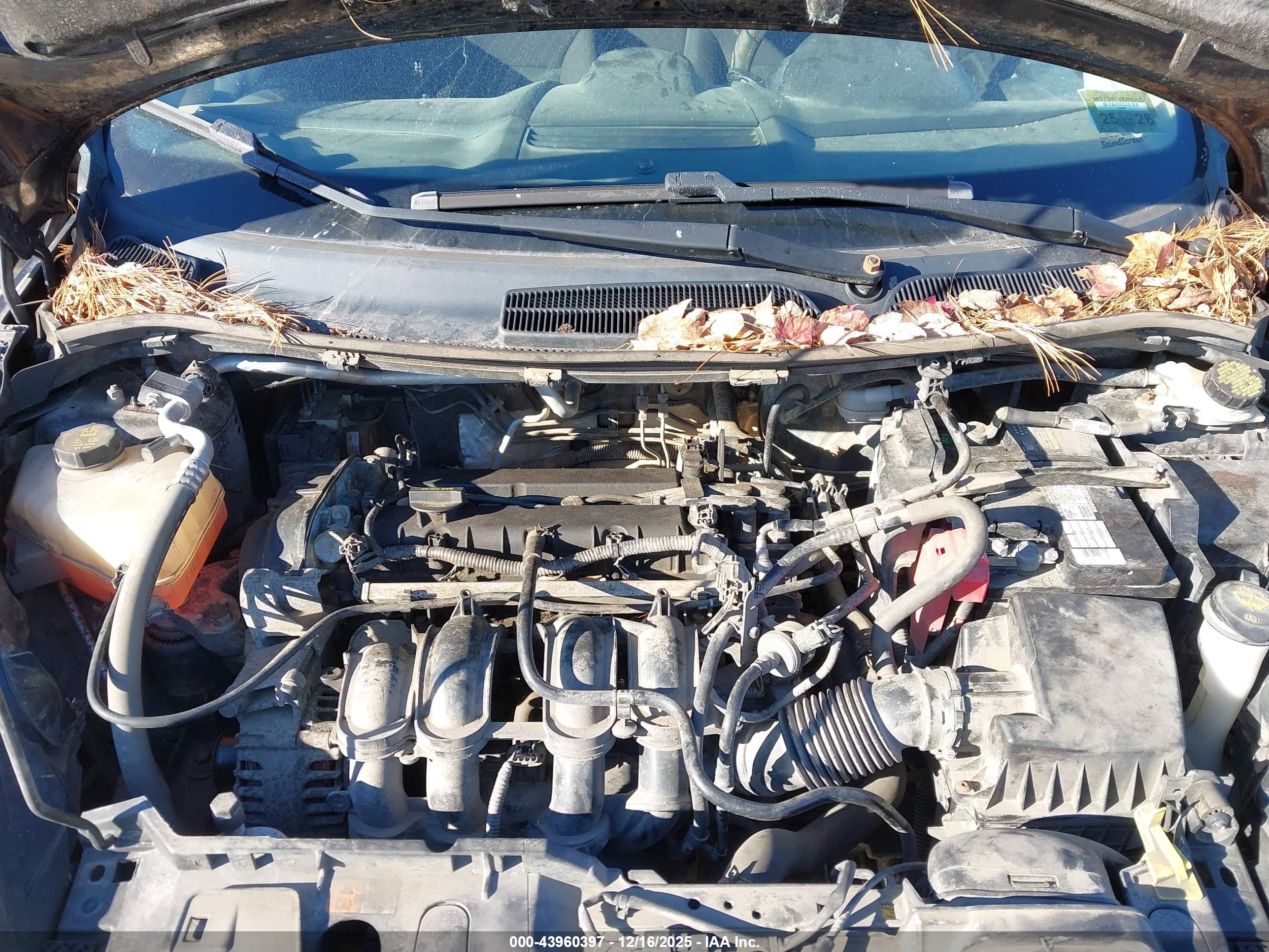 FORD FIESTA image 10