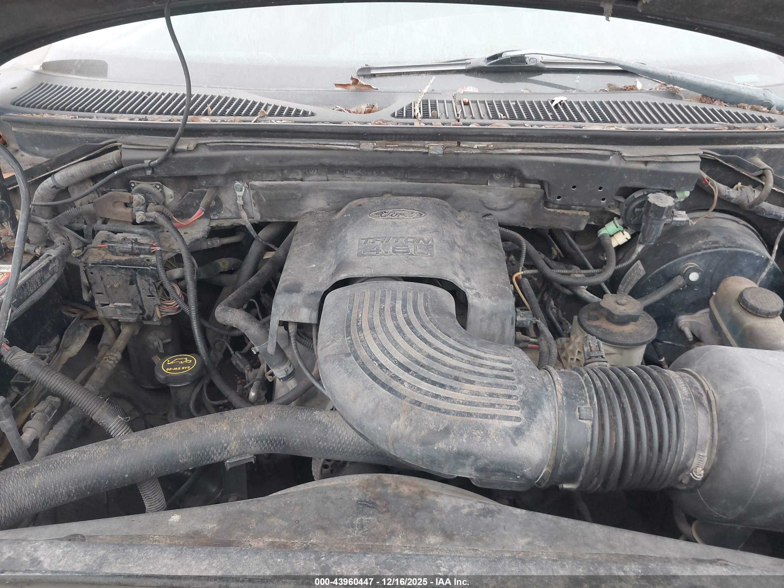 FORD F-150 image 10