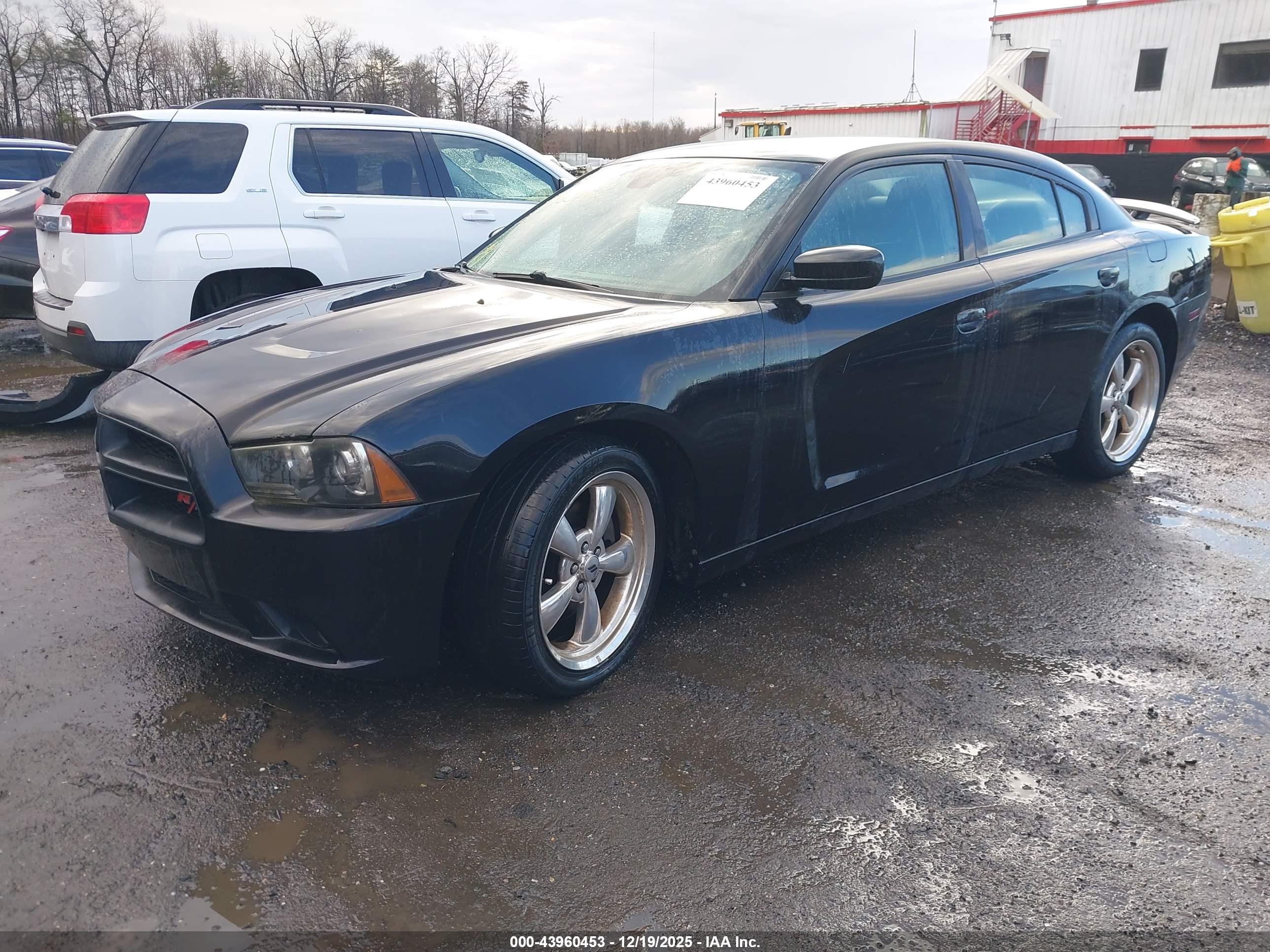 DODGE CHARGER image 2