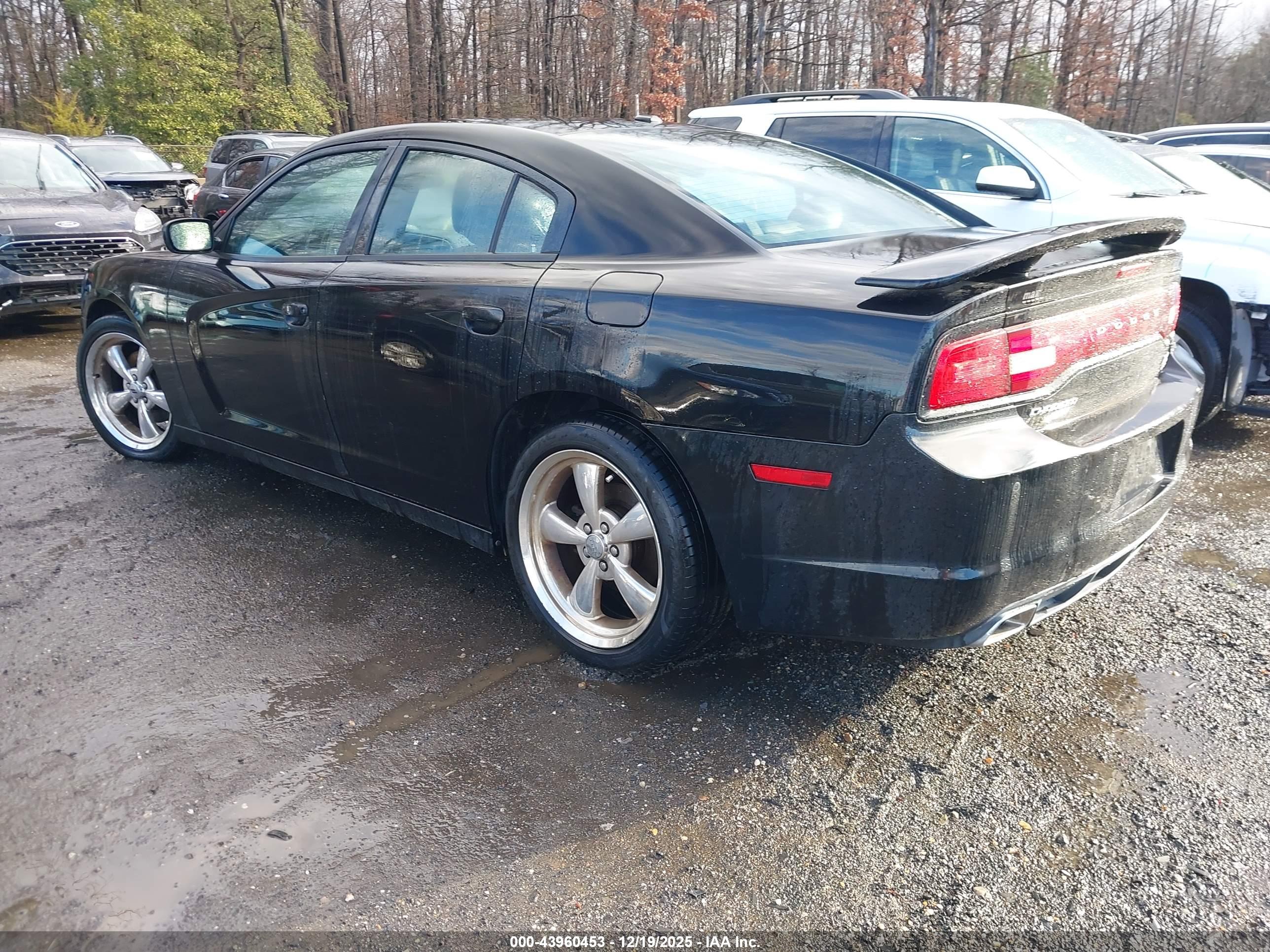 DODGE CHARGER image 3