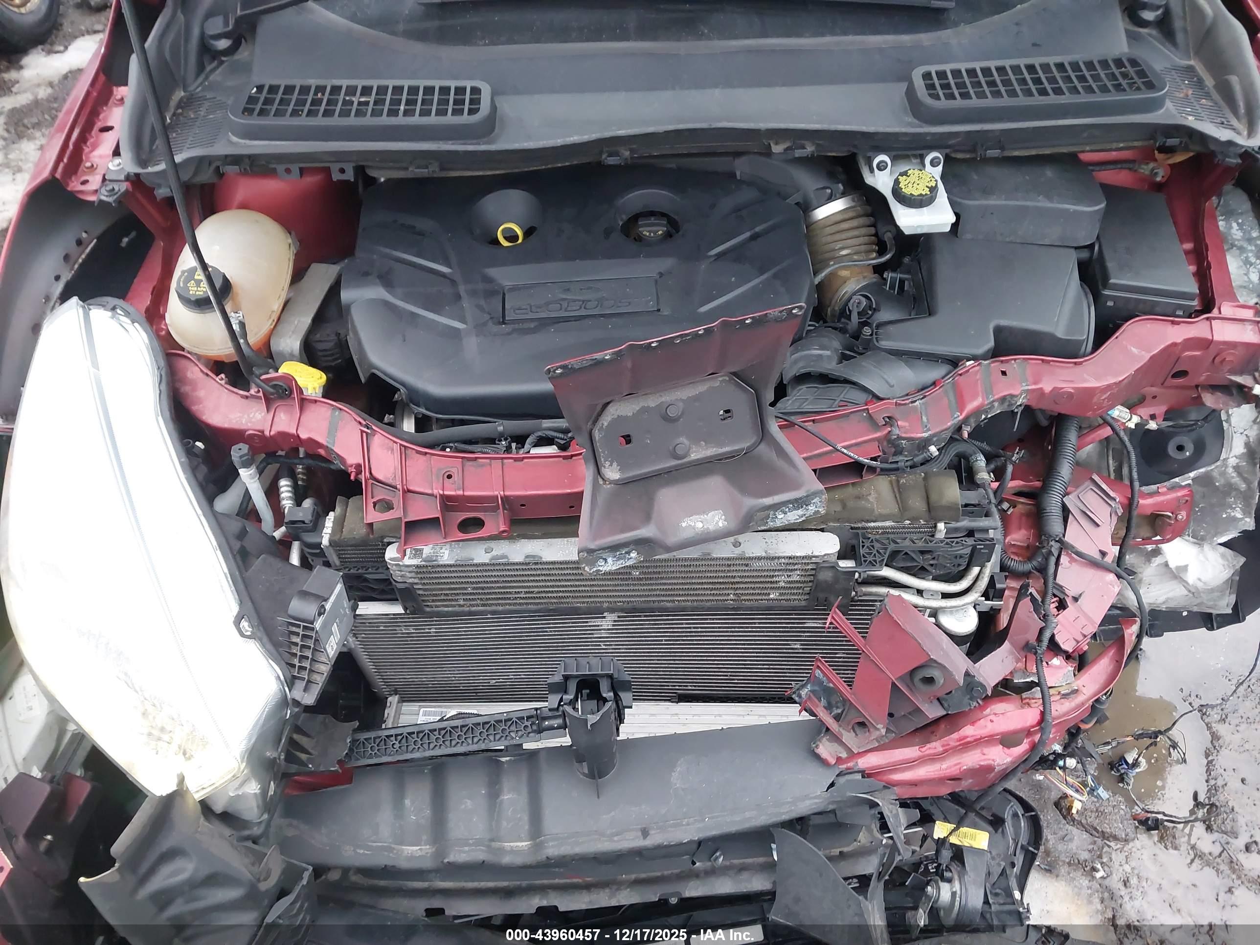 FORD ESCAPE image 10