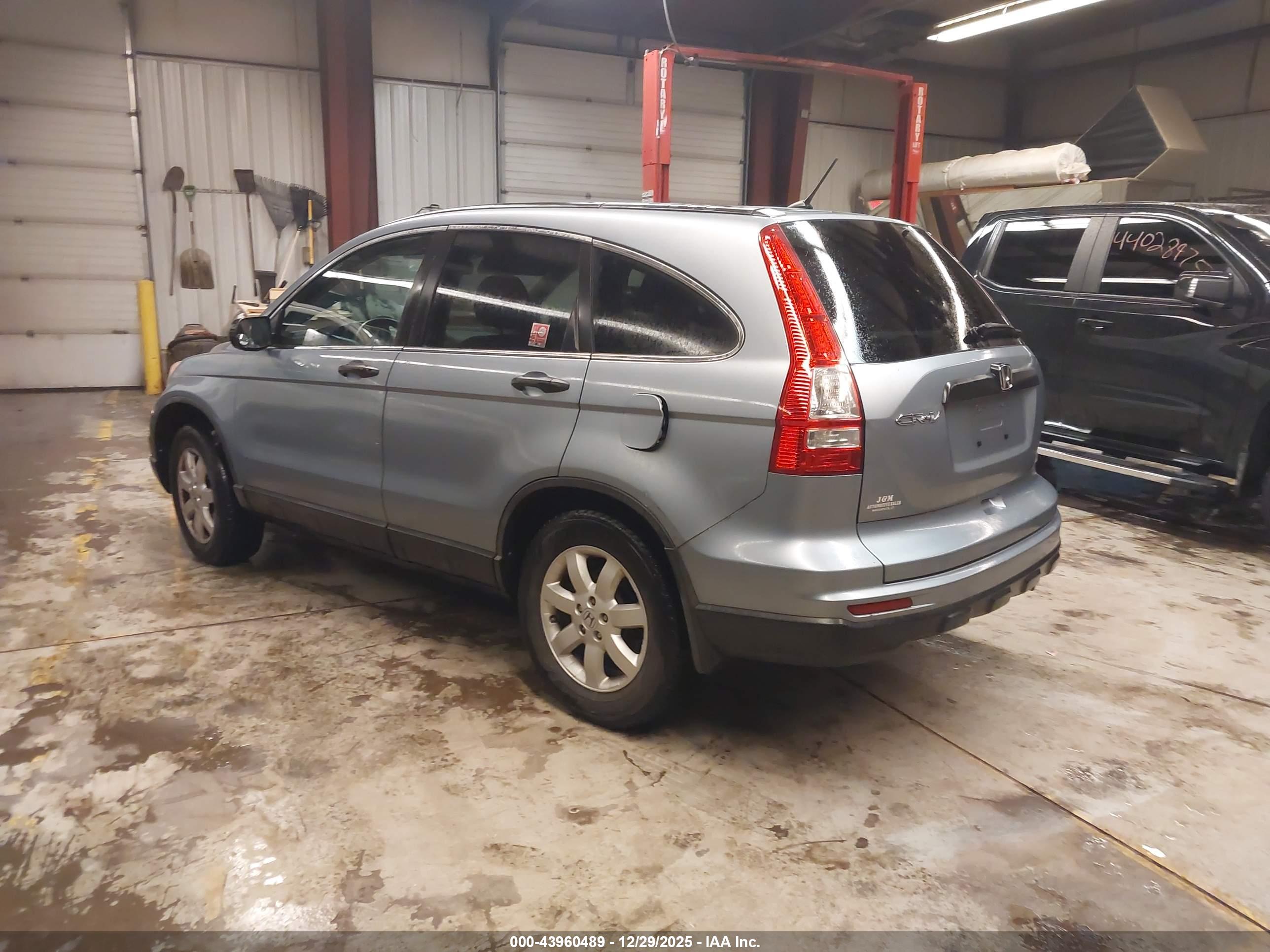 HONDA CR-V image 3