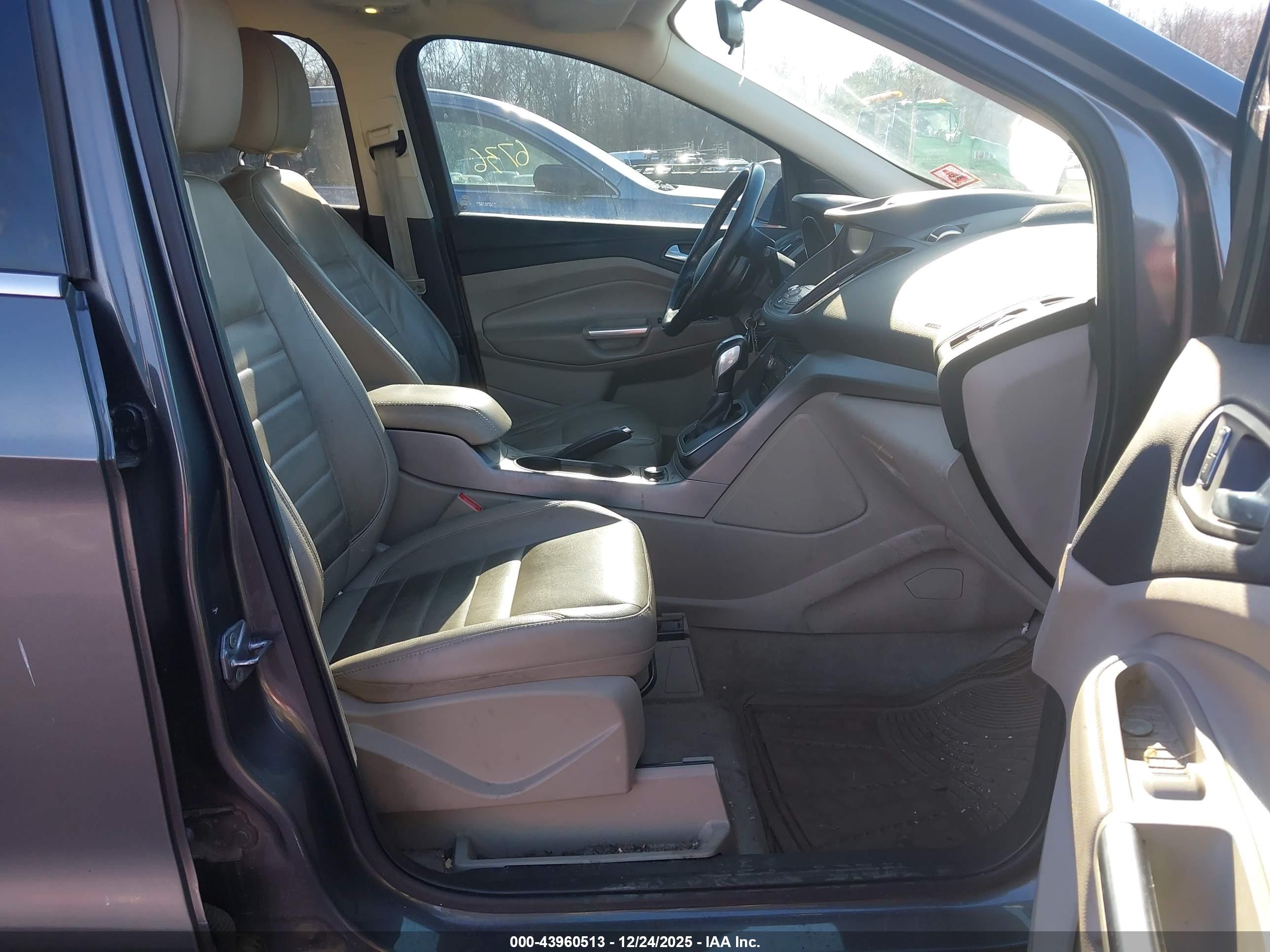 FORD ESCAPE image 5