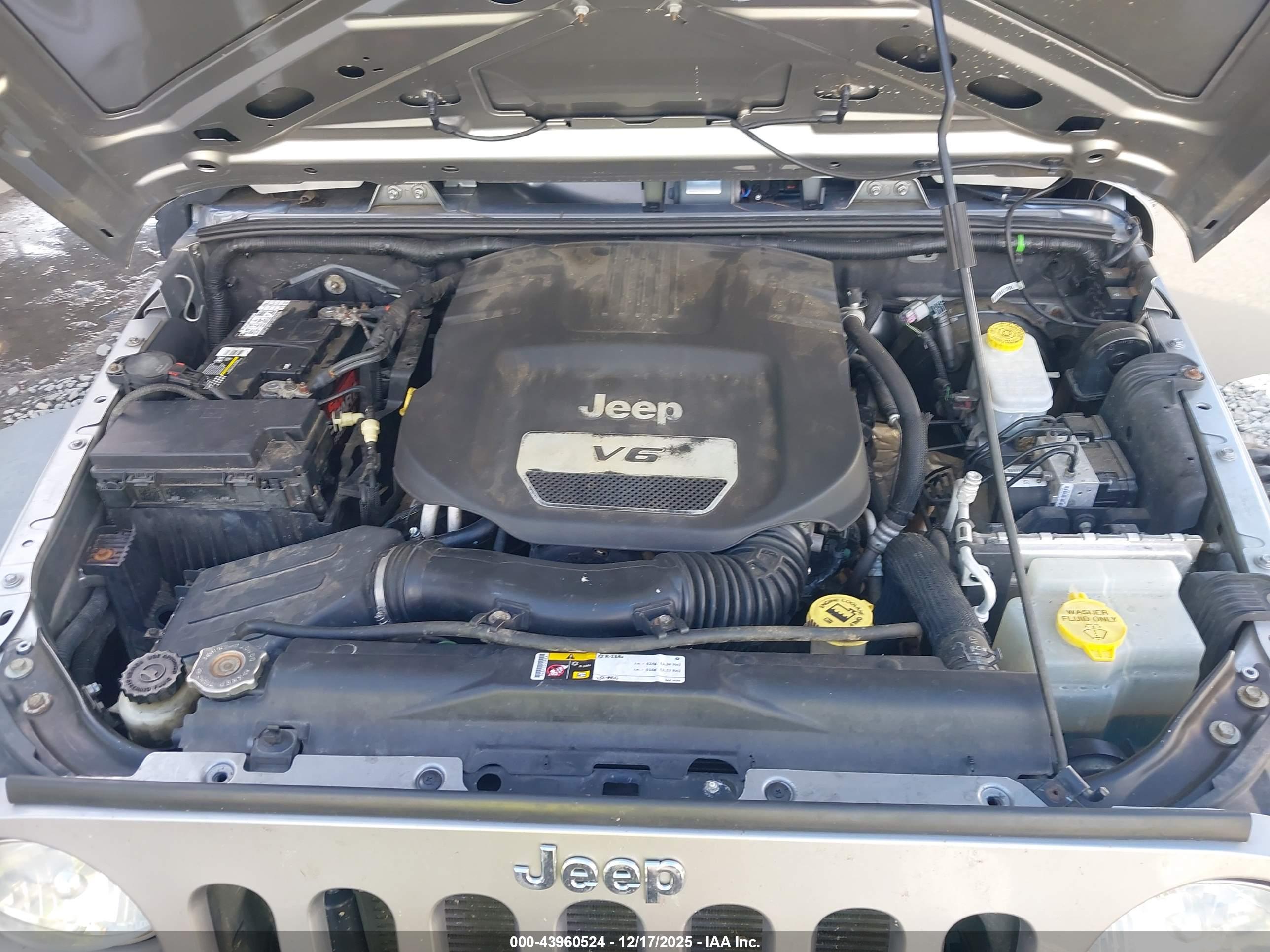 JEEP WRANGLER image 10