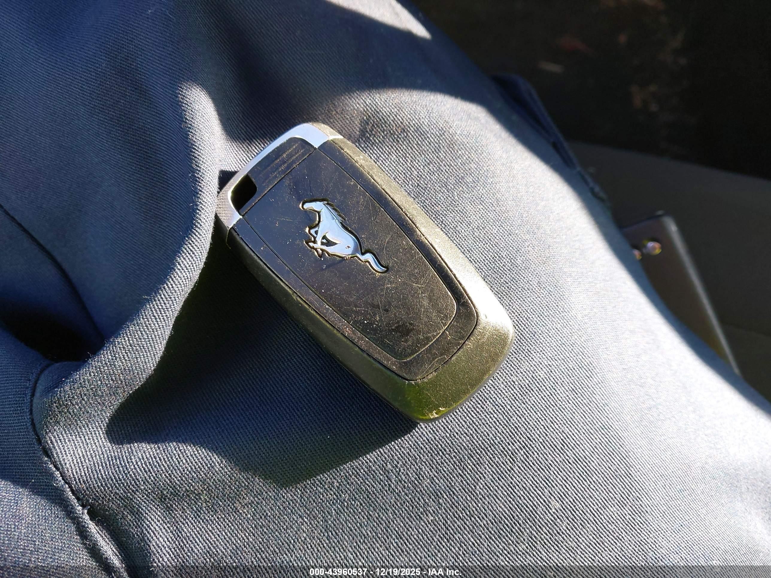 FORD MUSTANG image 11