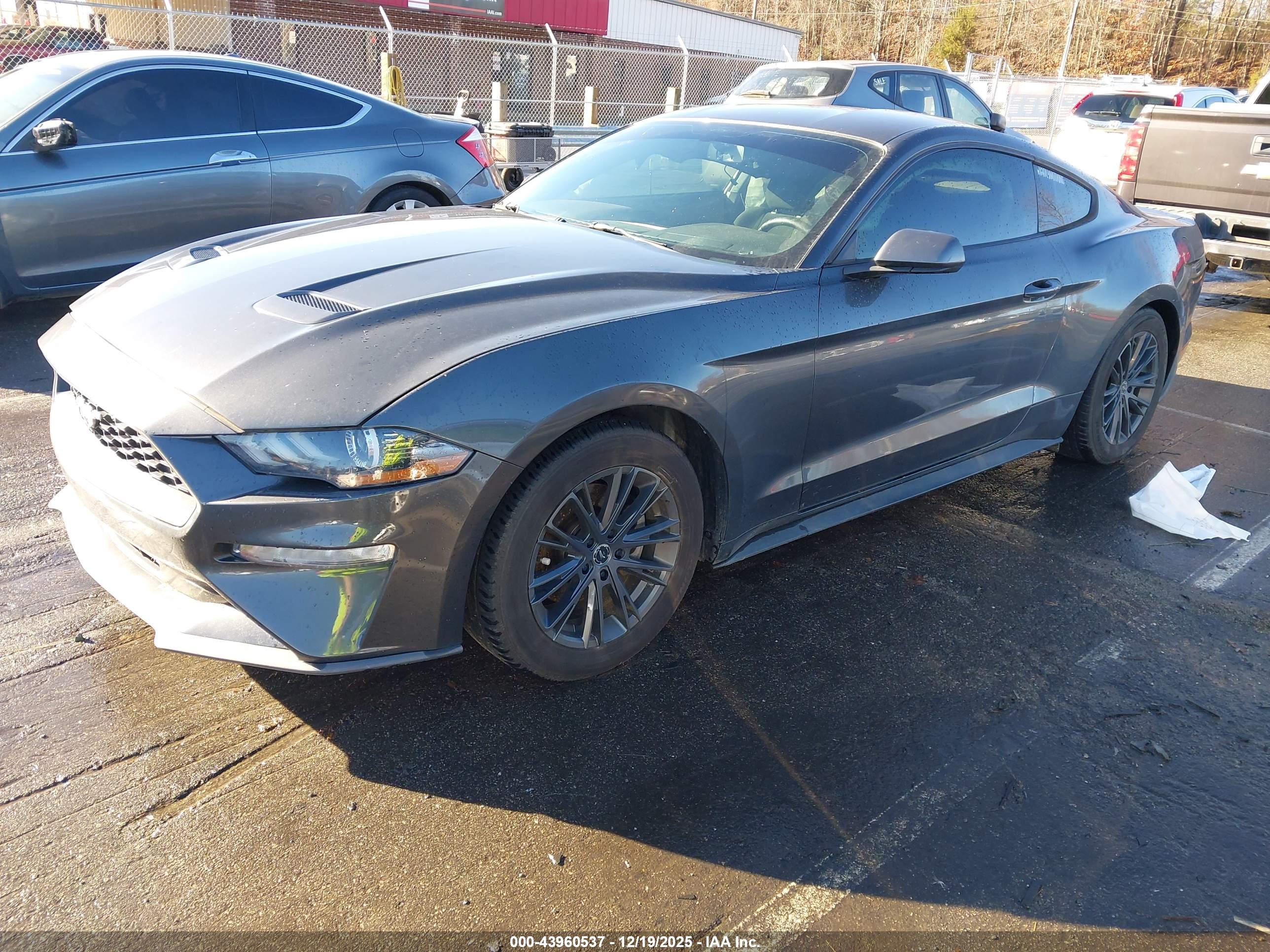 FORD MUSTANG image 2