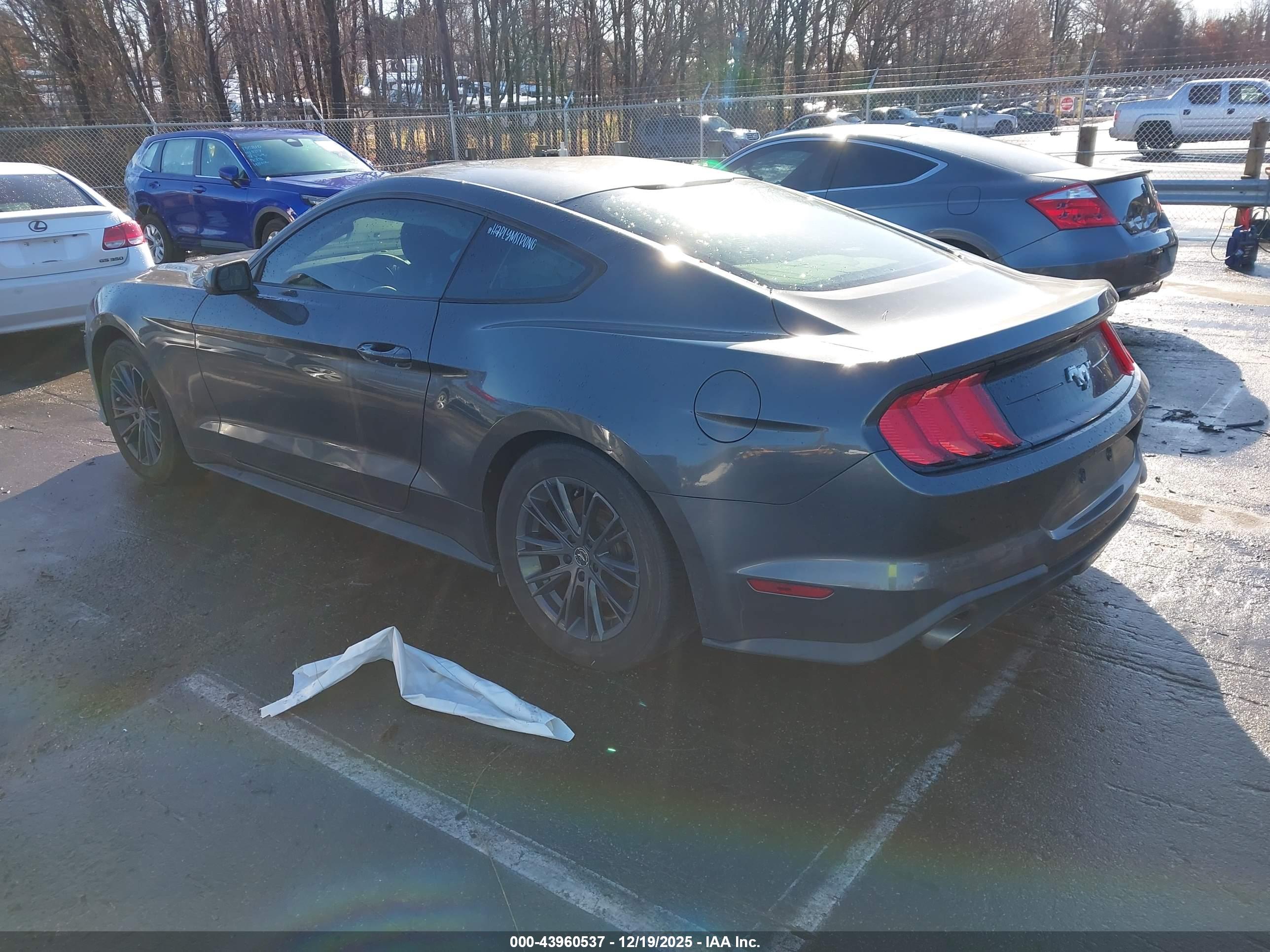FORD MUSTANG image 3