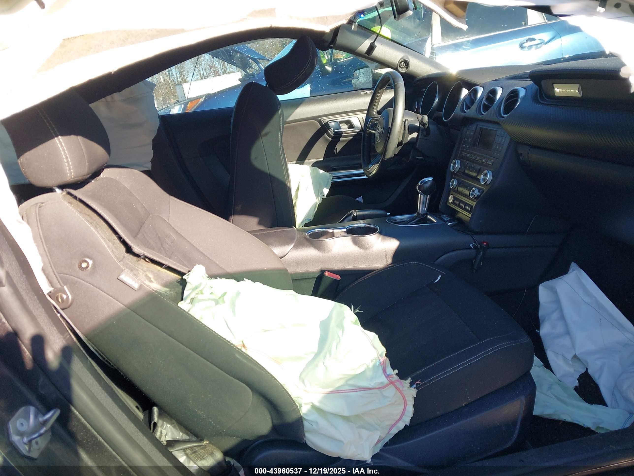 FORD MUSTANG image 5