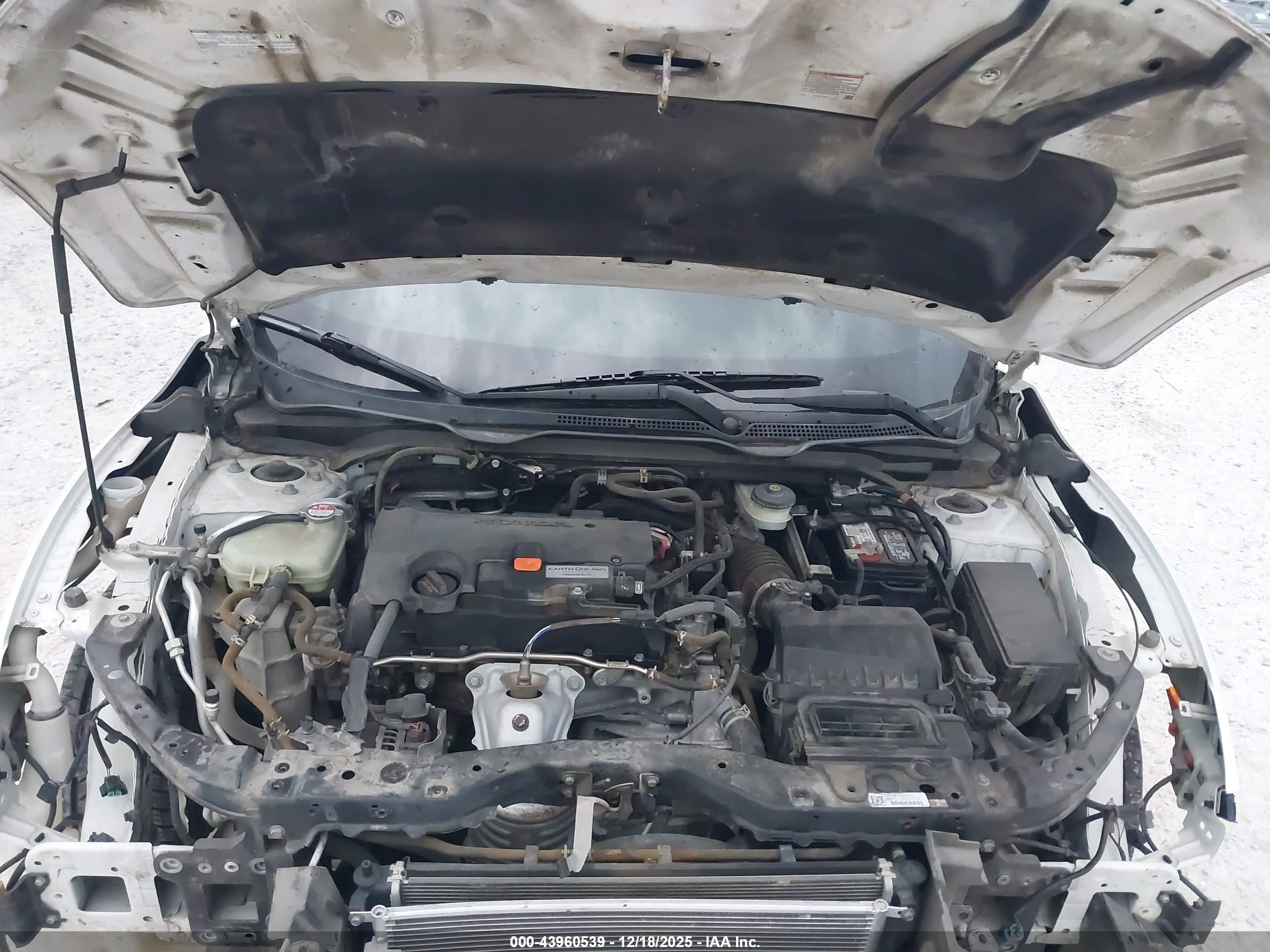 HONDA CIVIC image 10