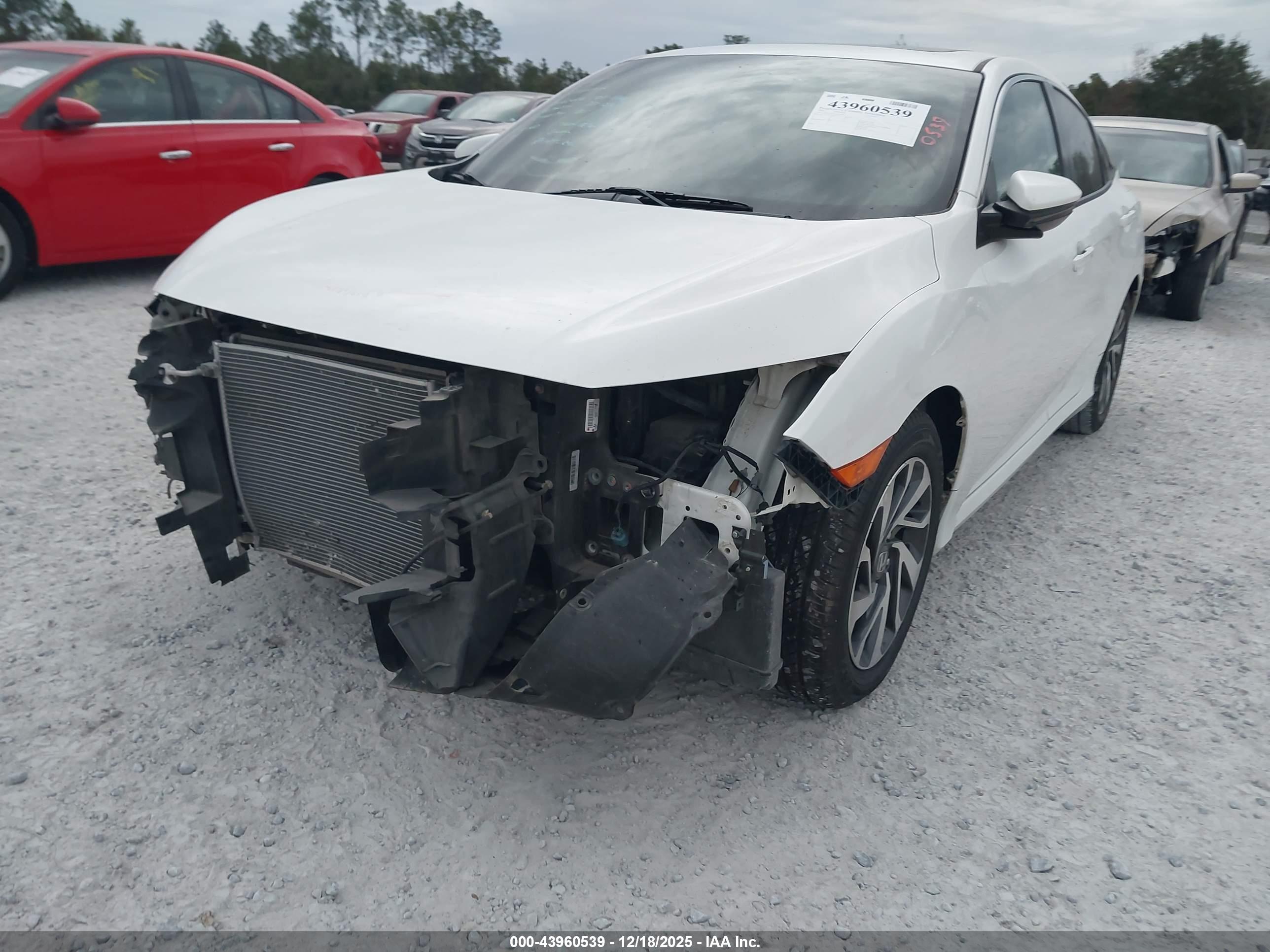 HONDA CIVIC image 6