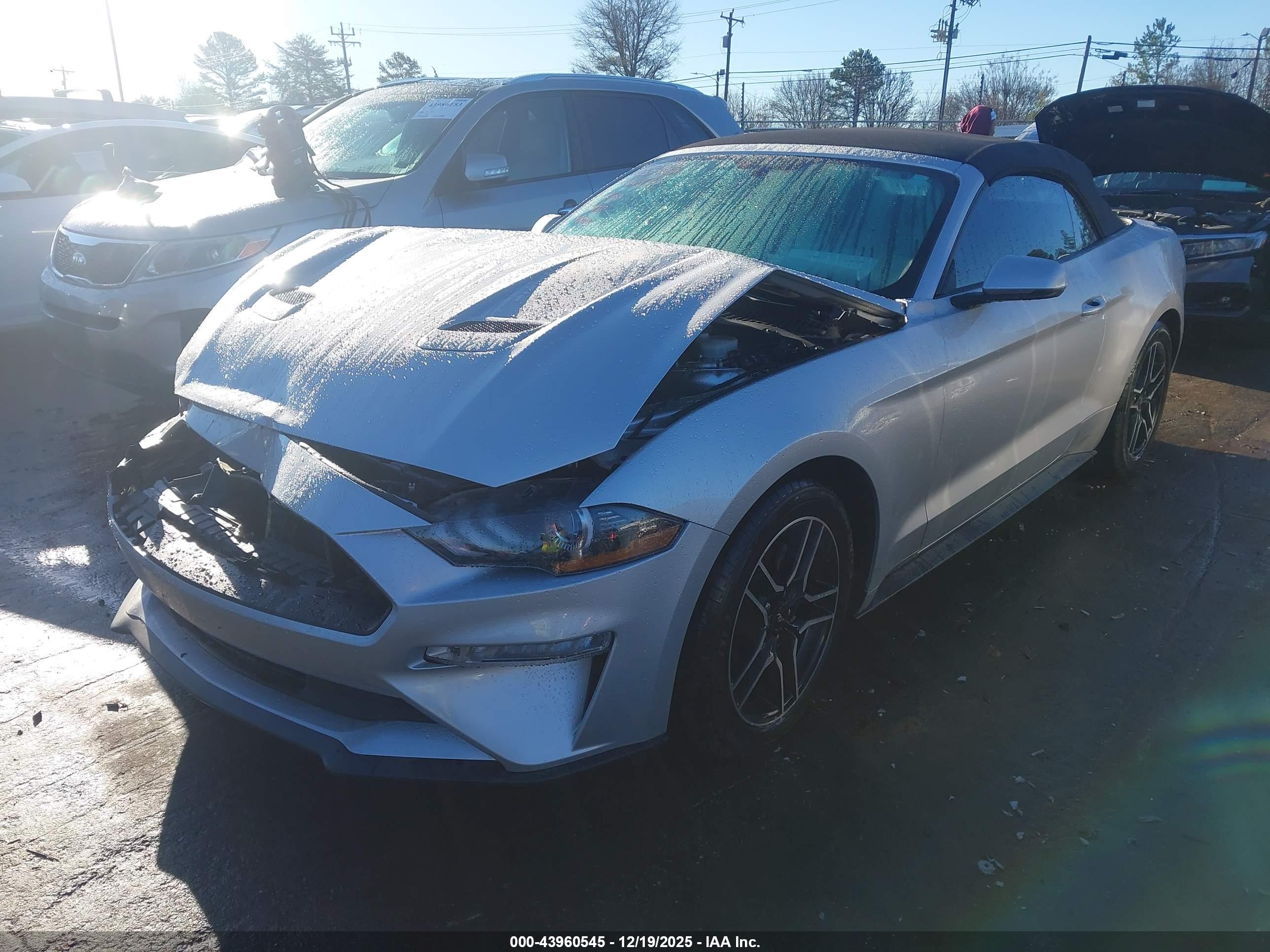 FORD MUSTANG image 2