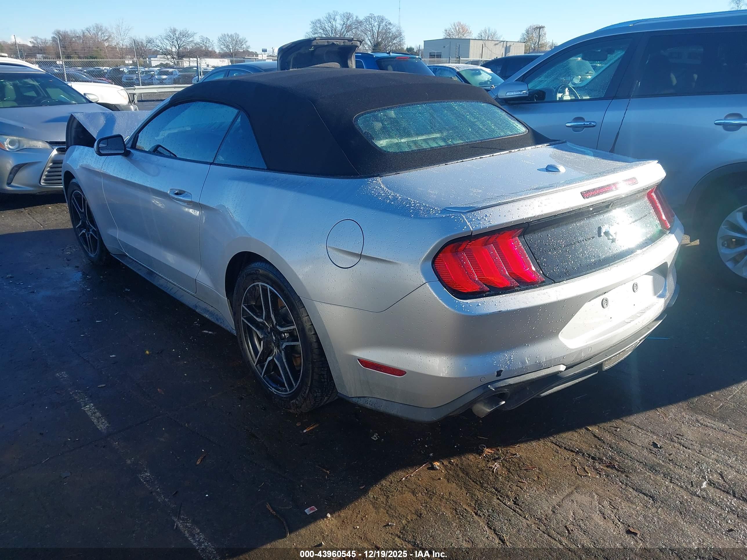 FORD MUSTANG image 3