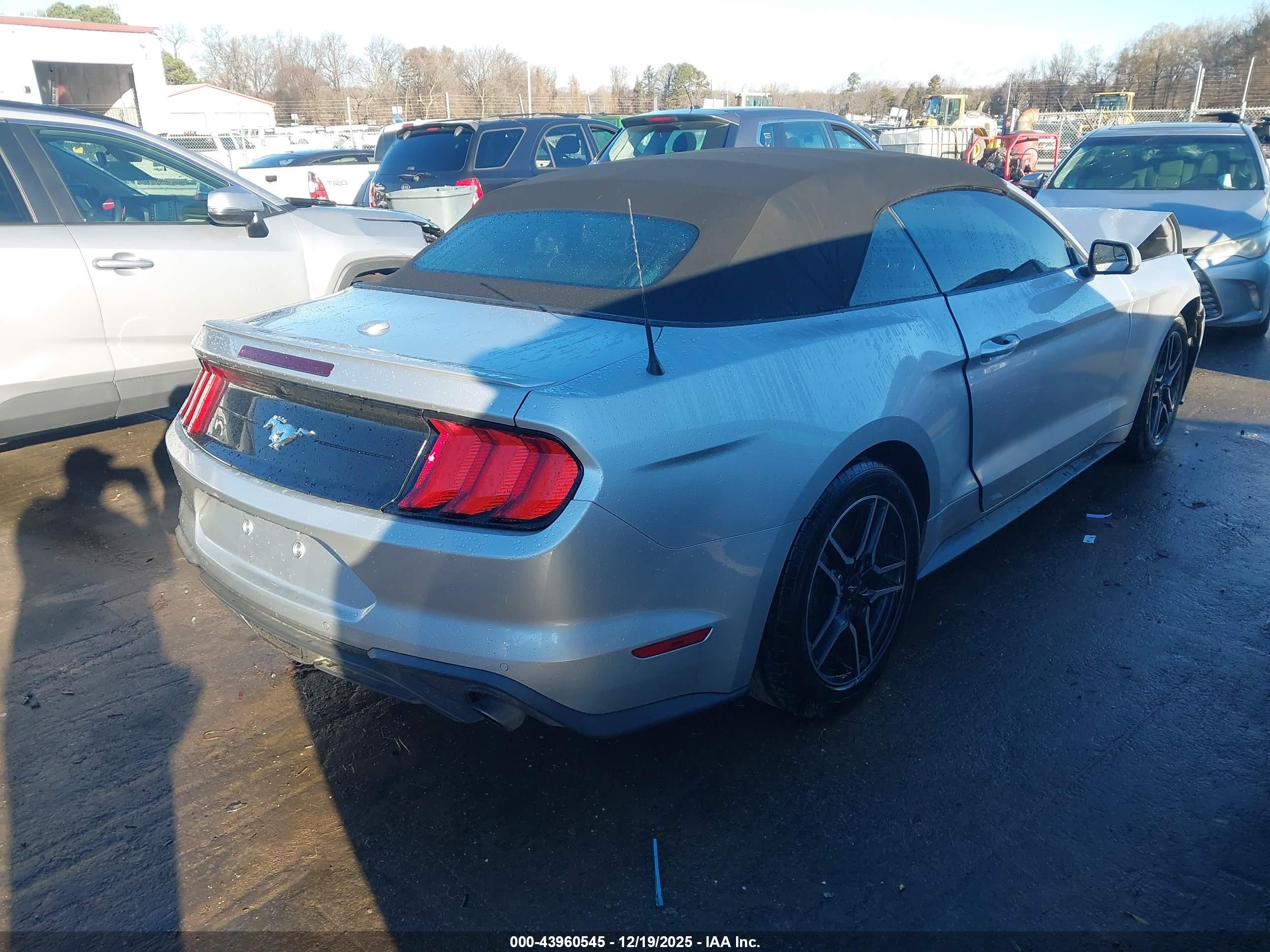 FORD MUSTANG image 4