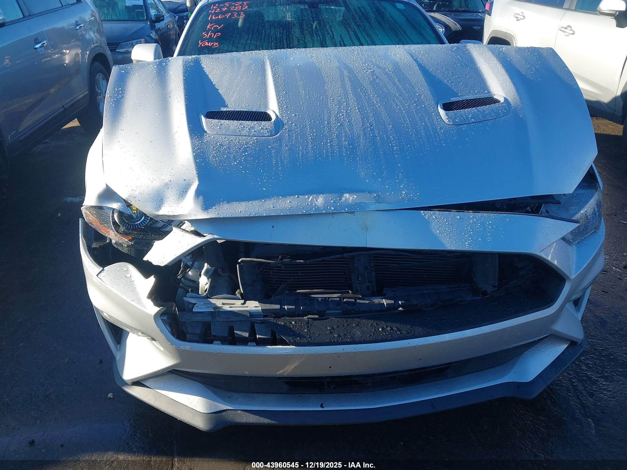 FORD MUSTANG image 6