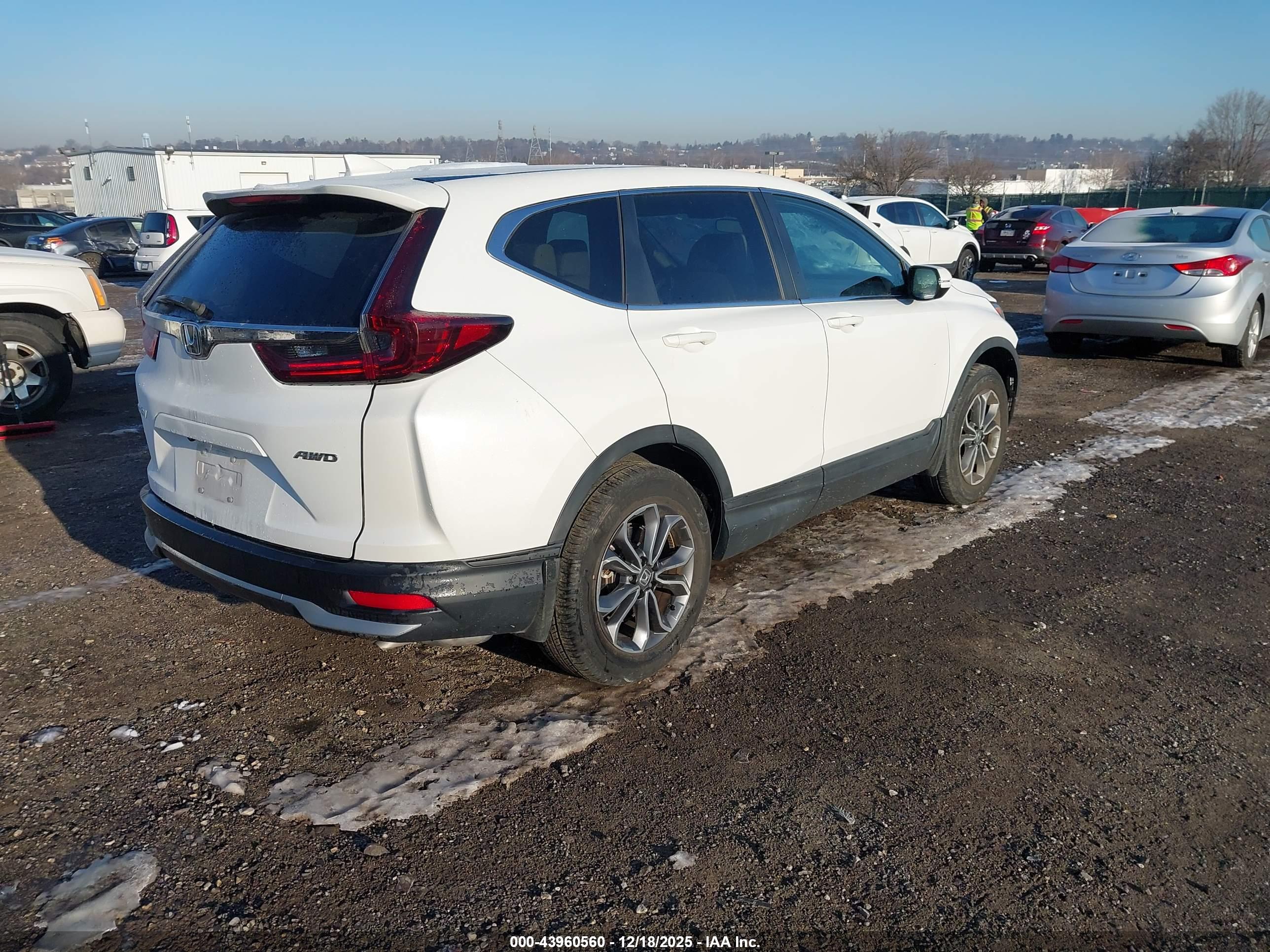 HONDA CR-V image 4