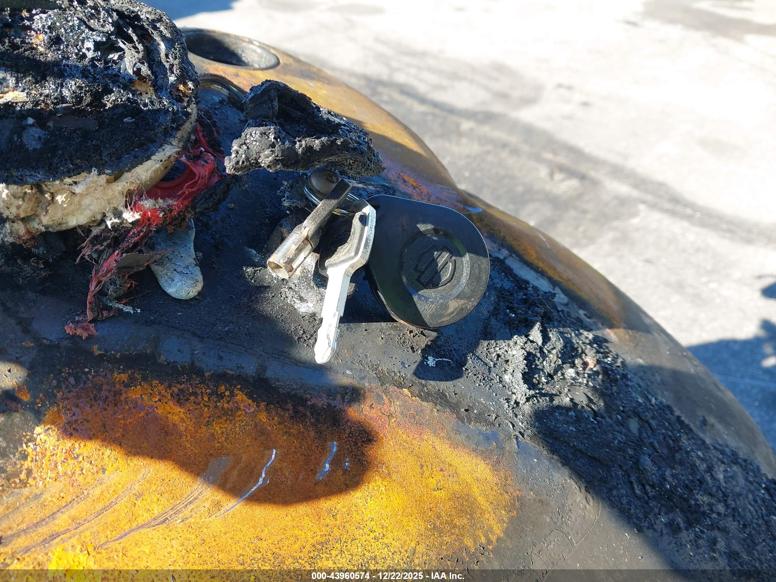 HARLEY-DAVIDSON FLHC image 11
