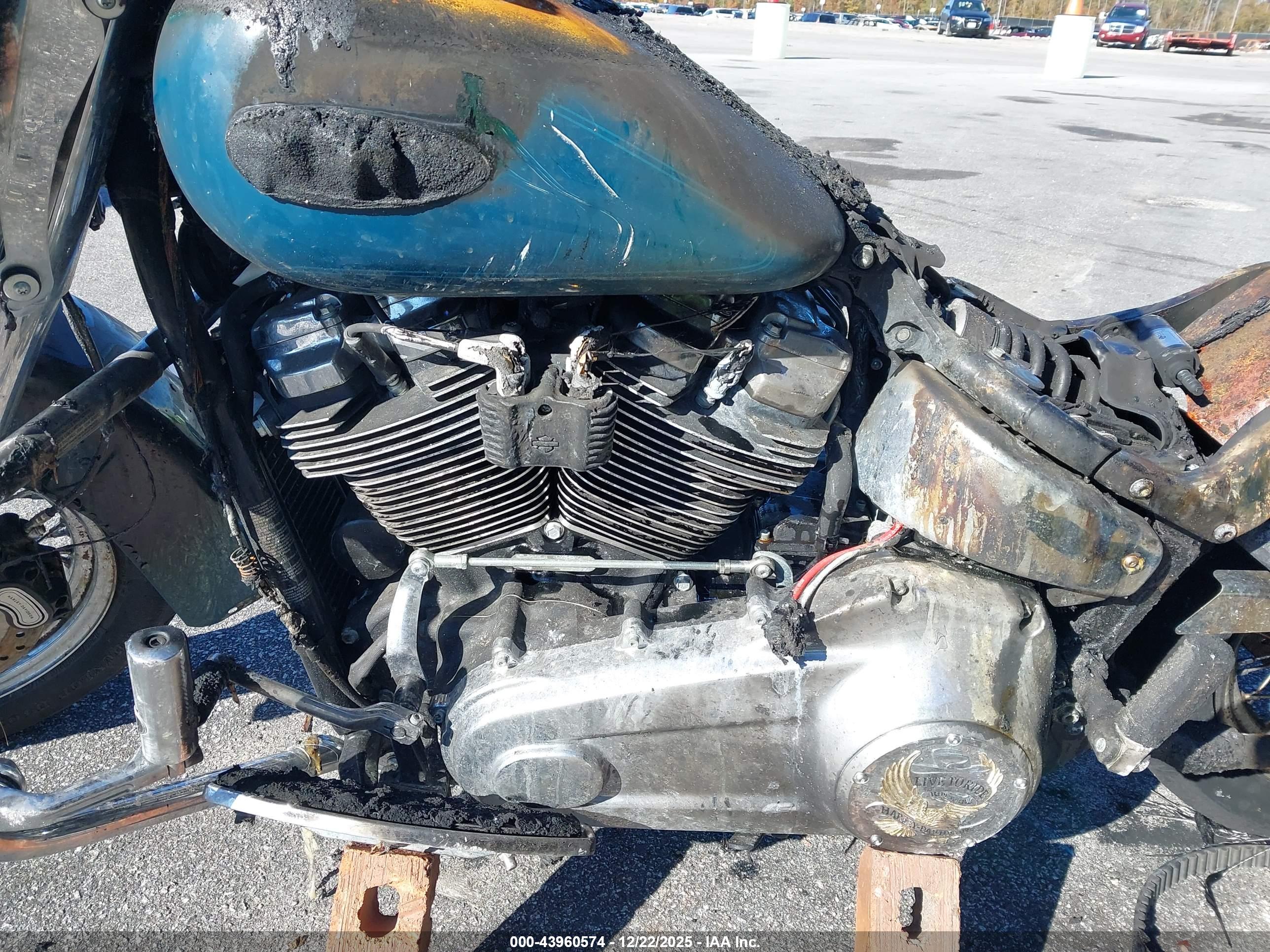 HARLEY-DAVIDSON FLHC image 9