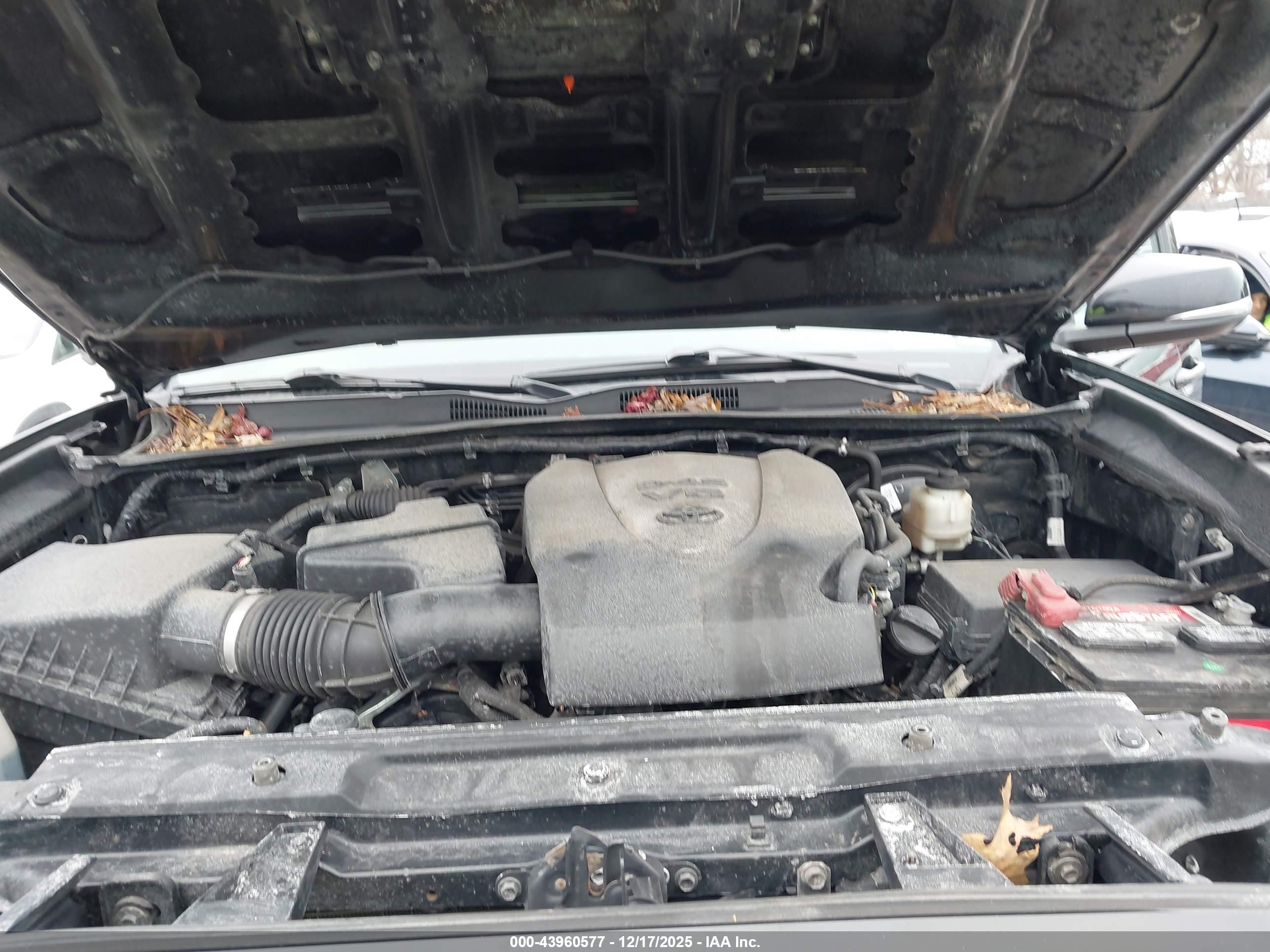 TOYOTA TACOMA image 10