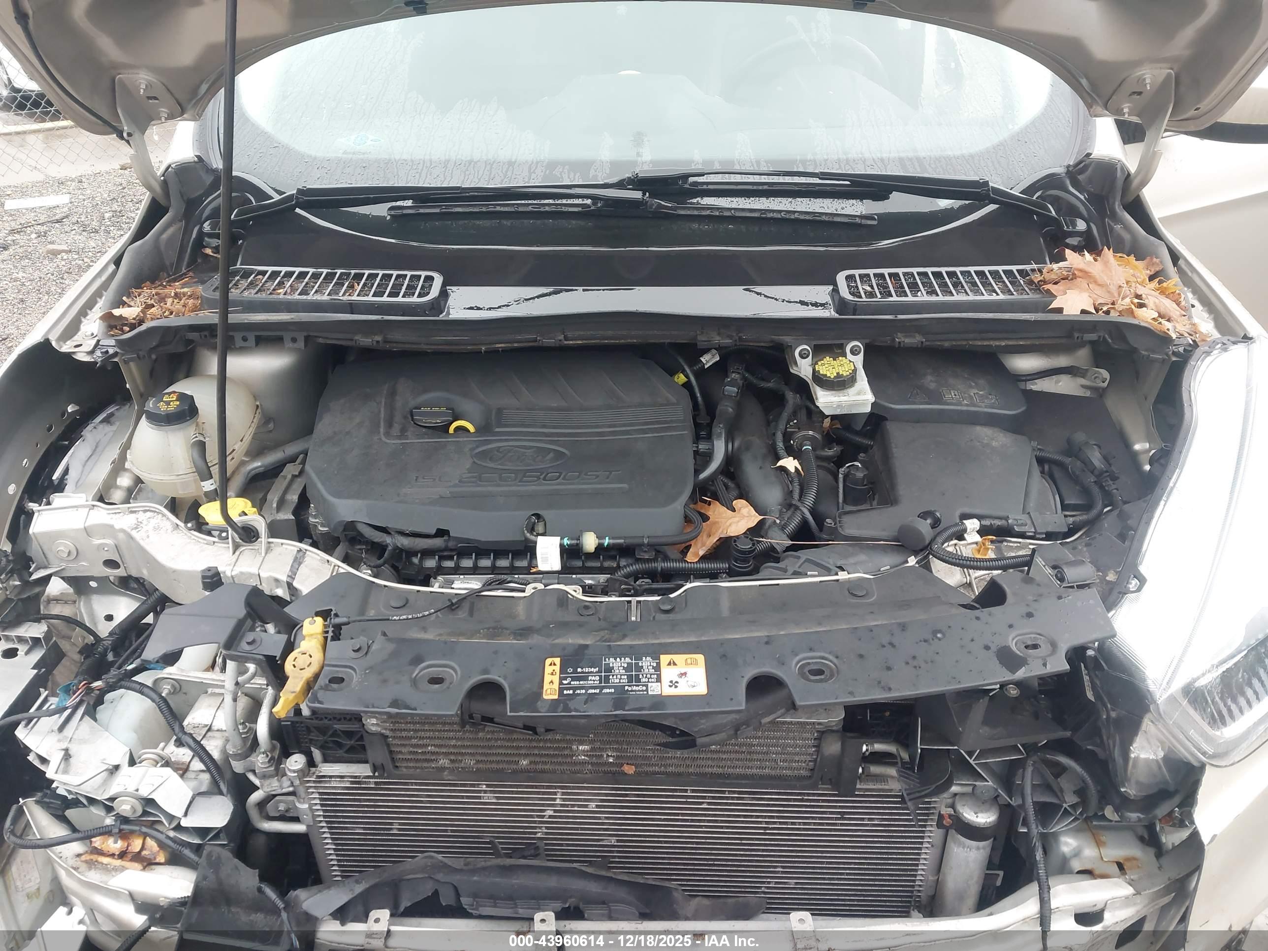 FORD ESCAPE image 10
