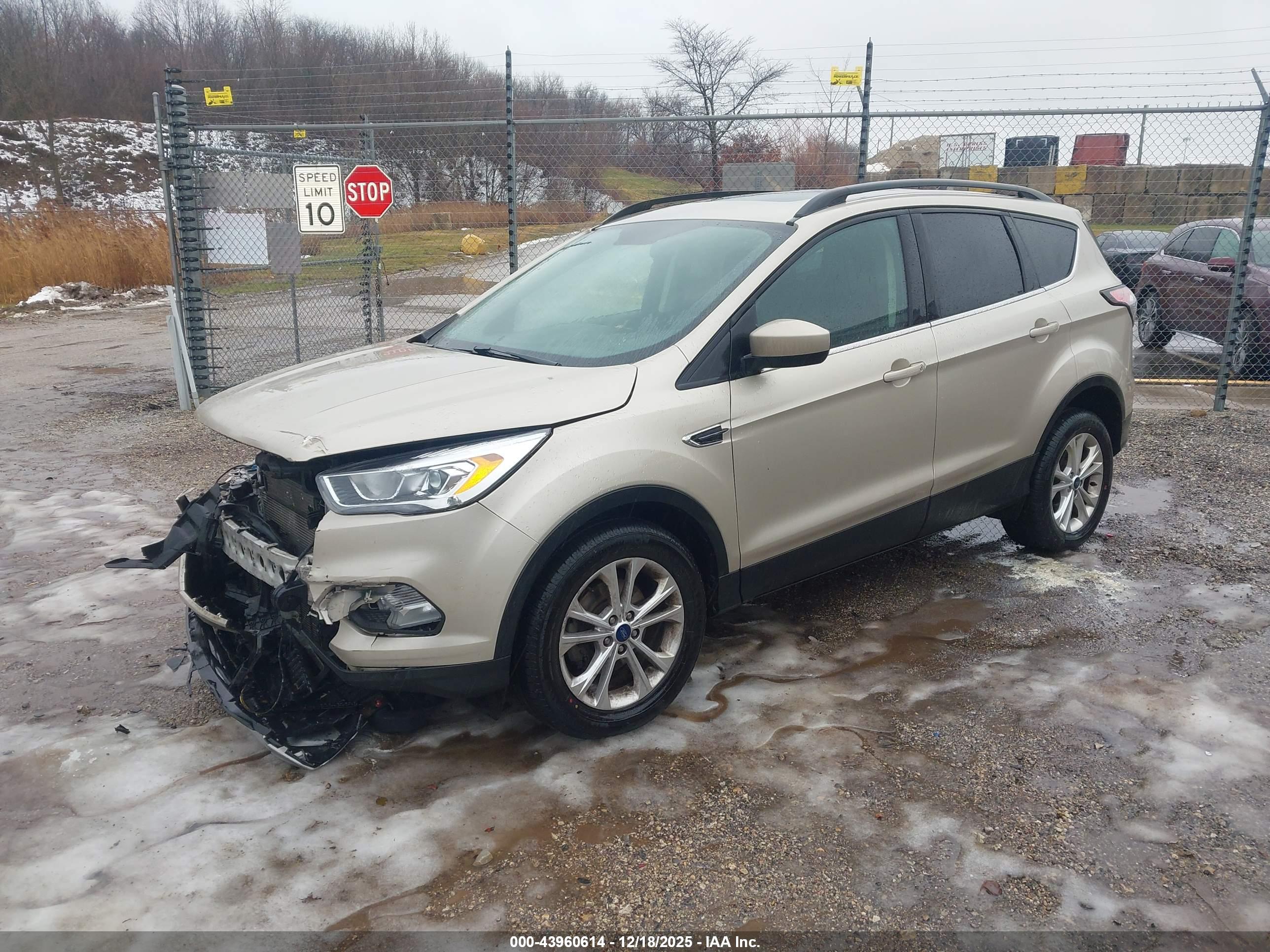 FORD ESCAPE image 2