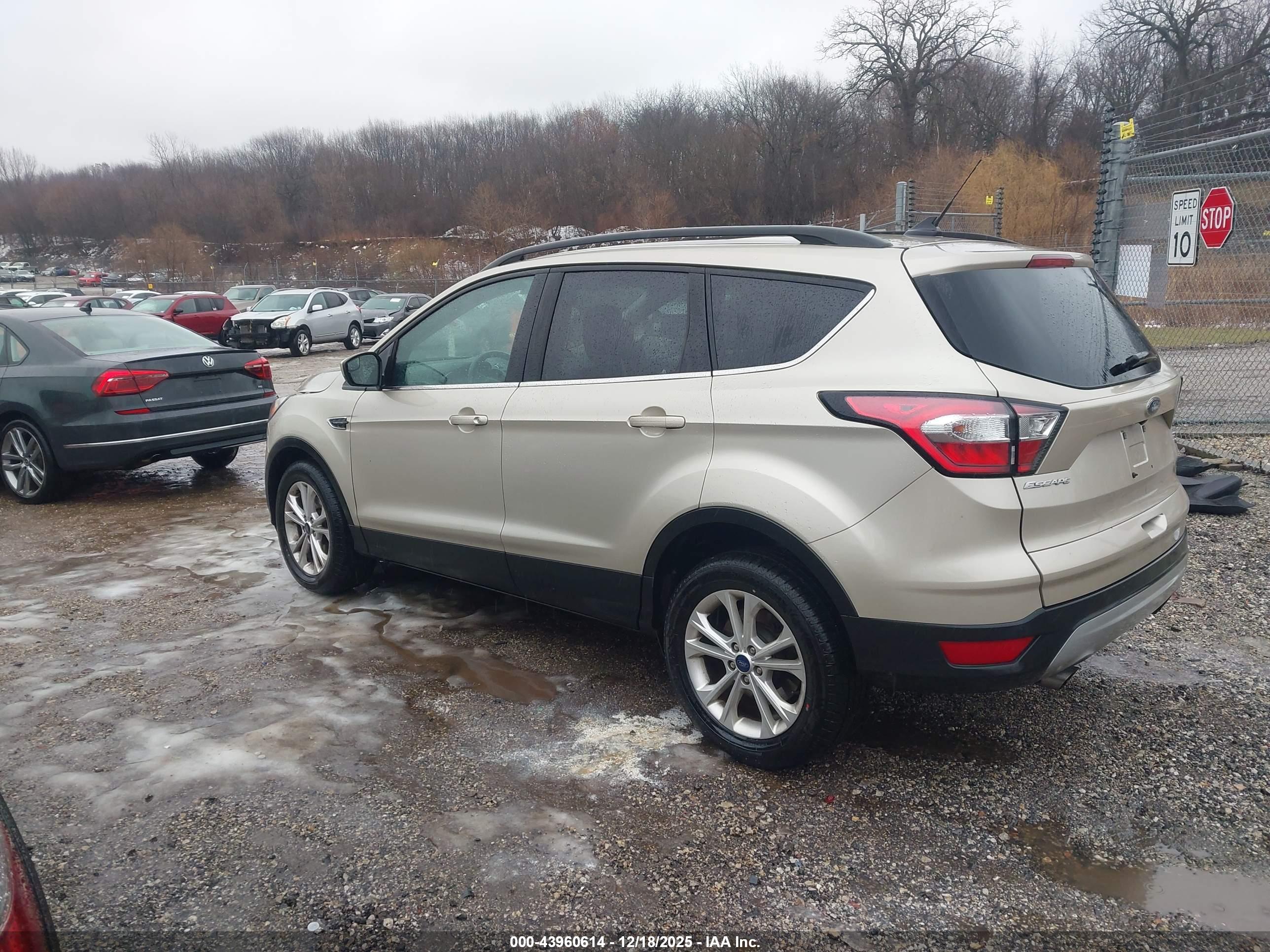 FORD ESCAPE image 3