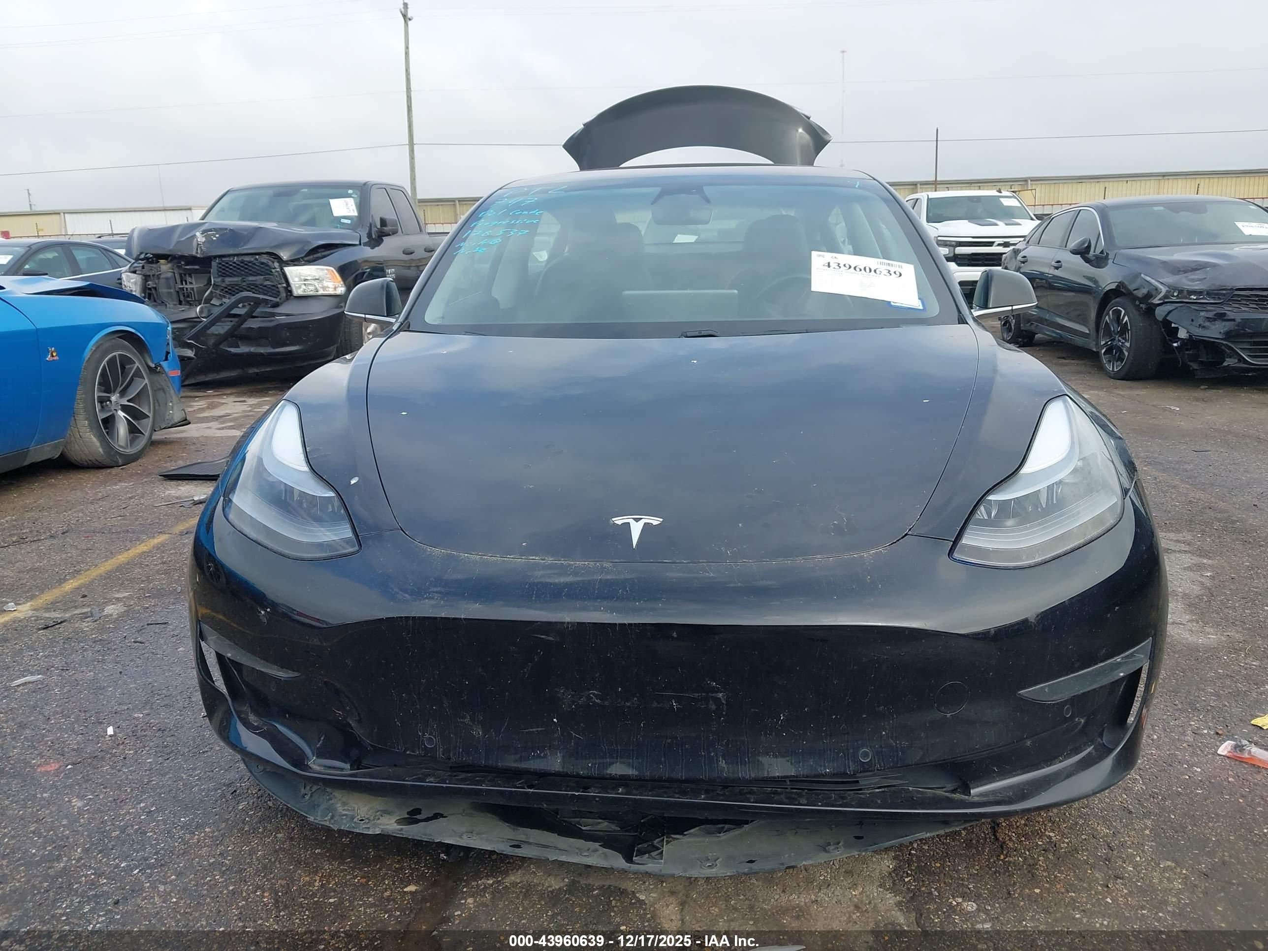 TESLA MODEL image 6