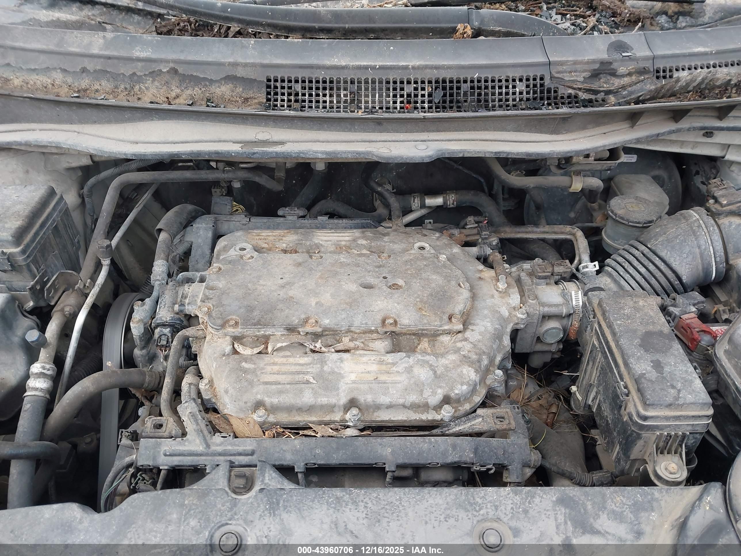 HONDA ODYSSEY image 10