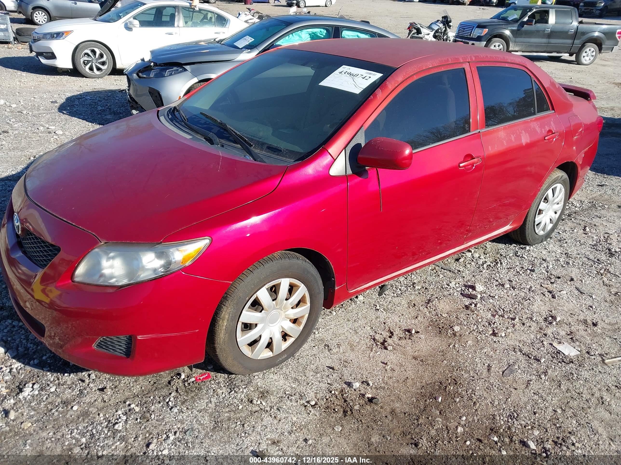 TOYOTA COROLLA image 2