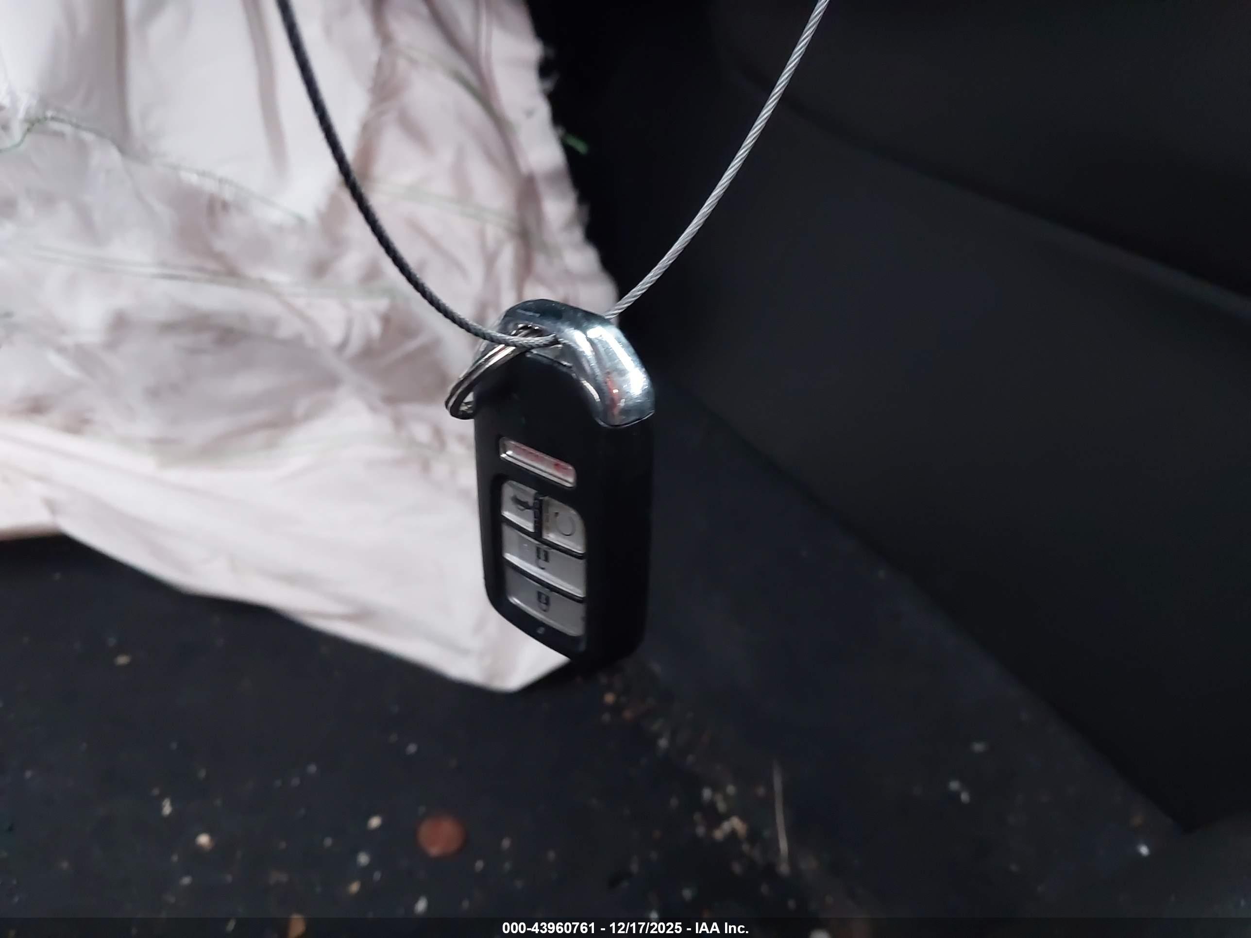 HONDA ACCORD image 11