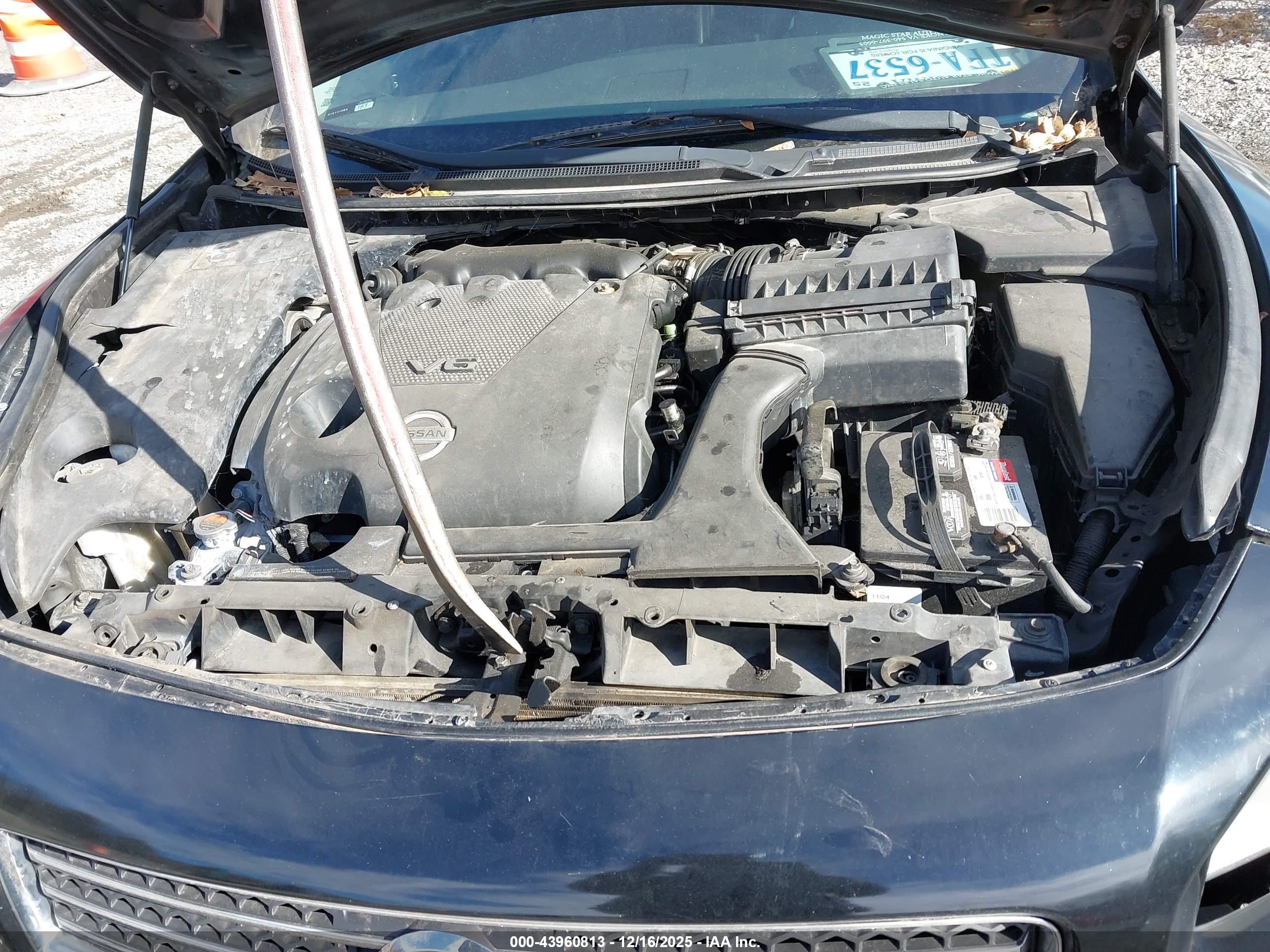 NISSAN MAXIMA image 10