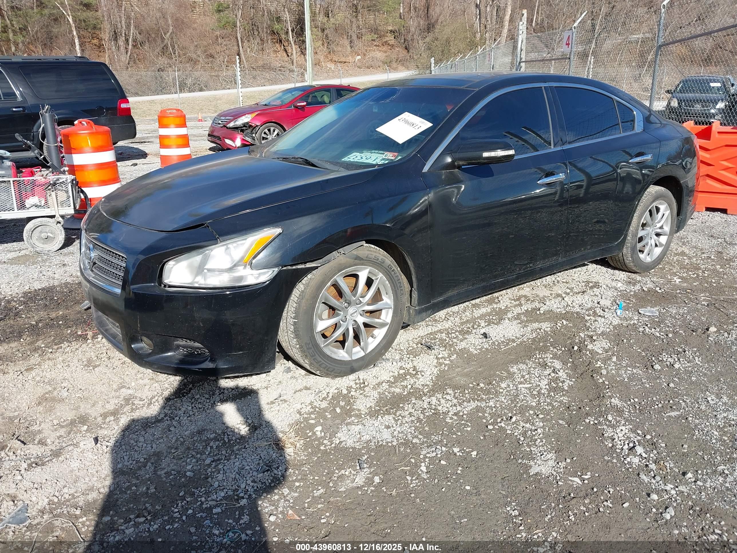 NISSAN MAXIMA image 2
