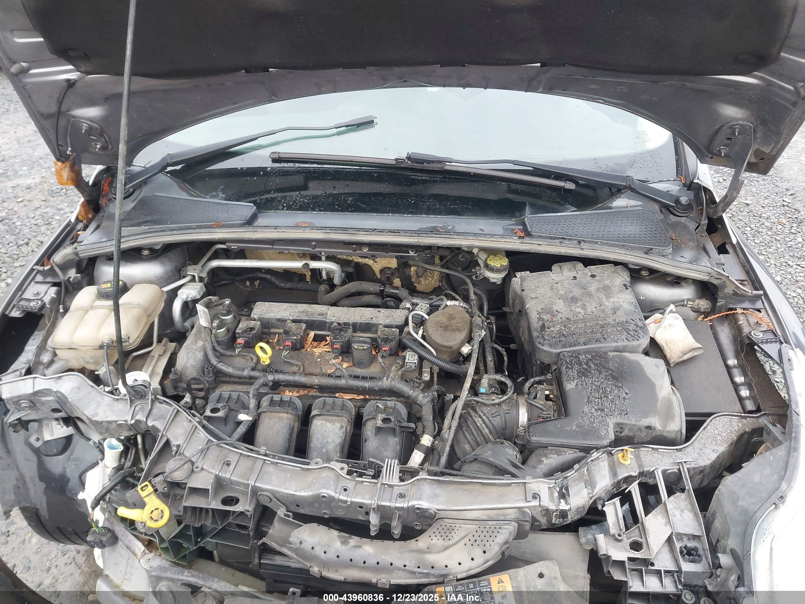 FORD FOCUS image 10
