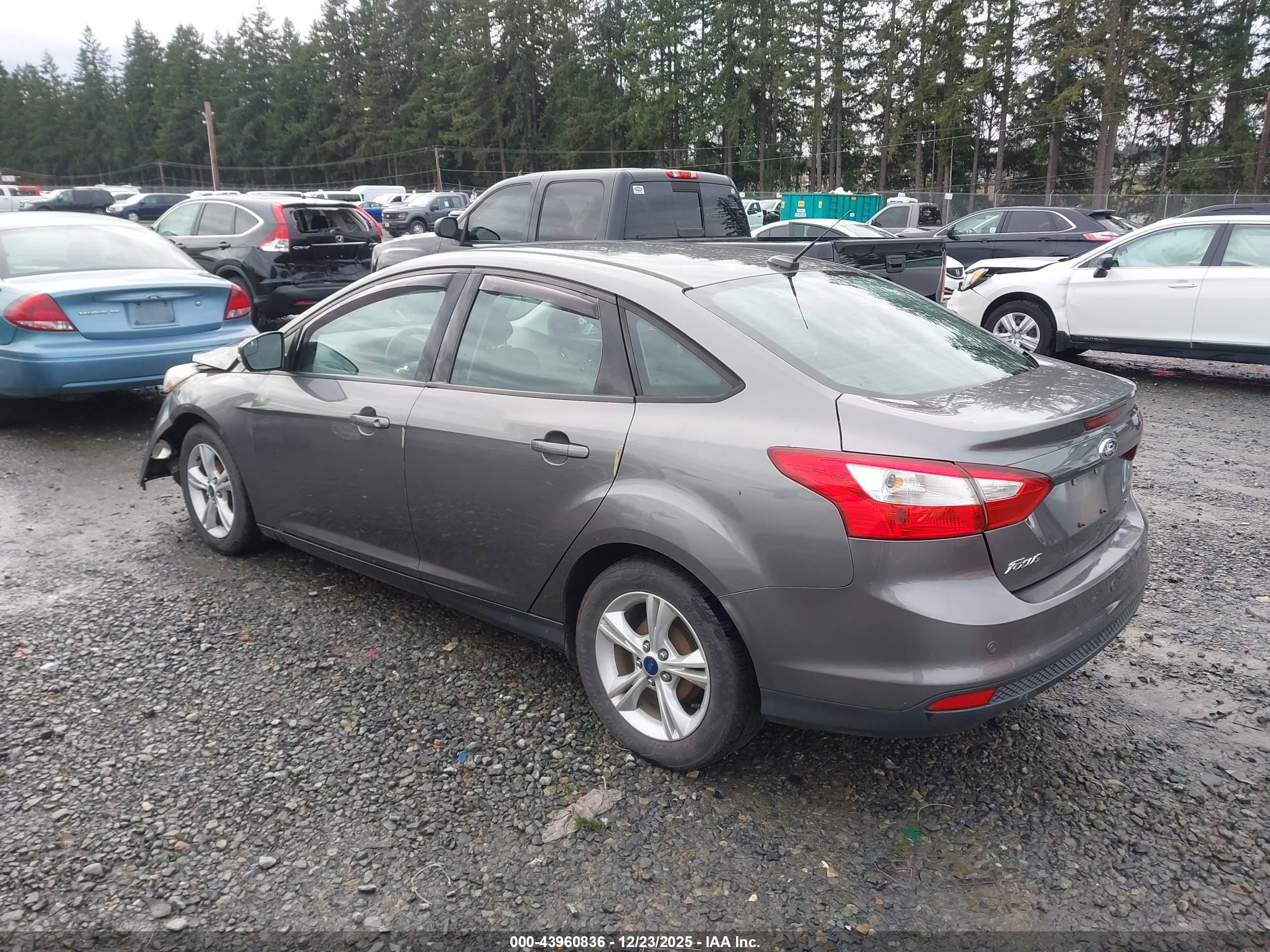 FORD FOCUS image 3