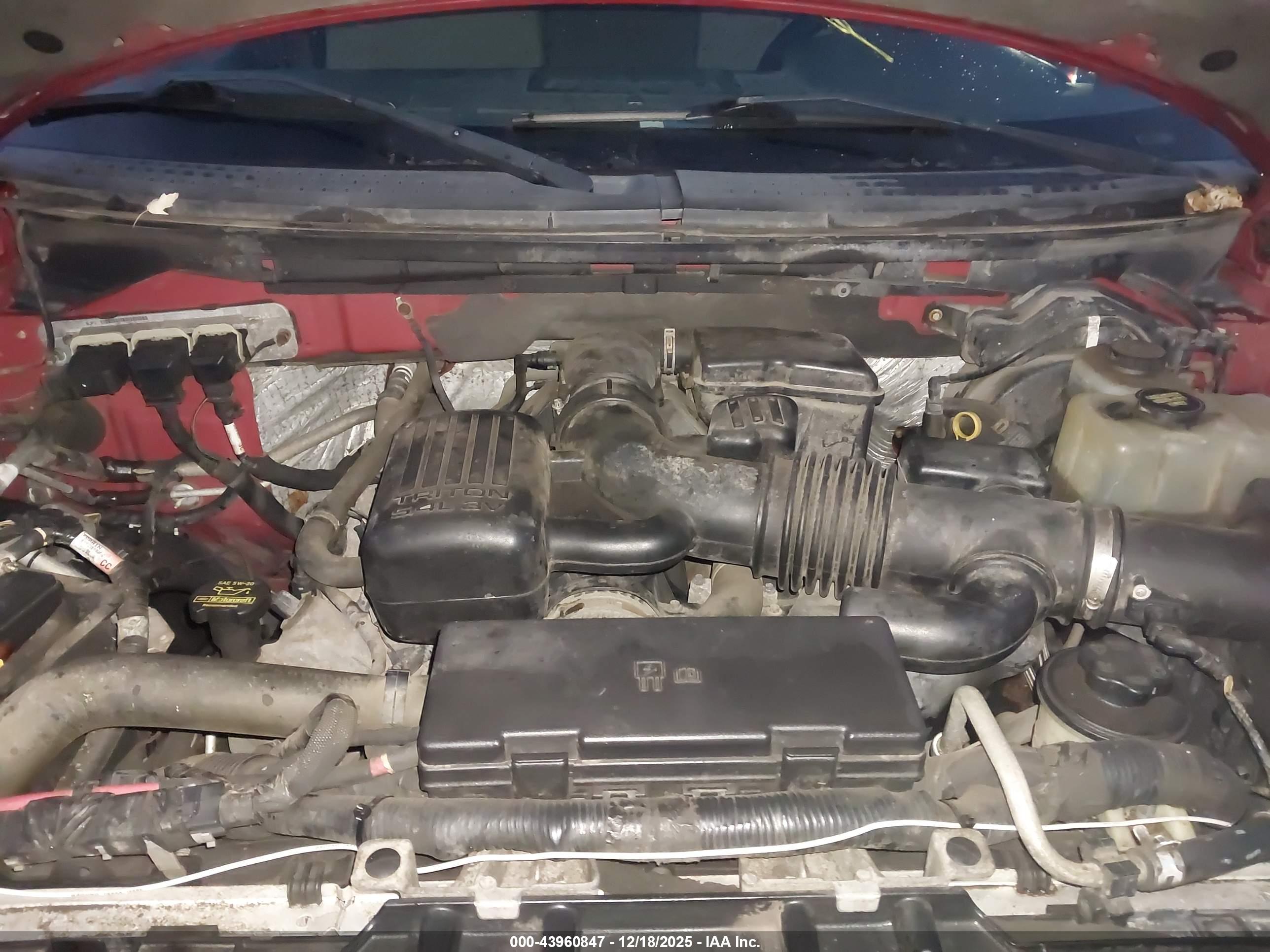 FORD F-150 image 10