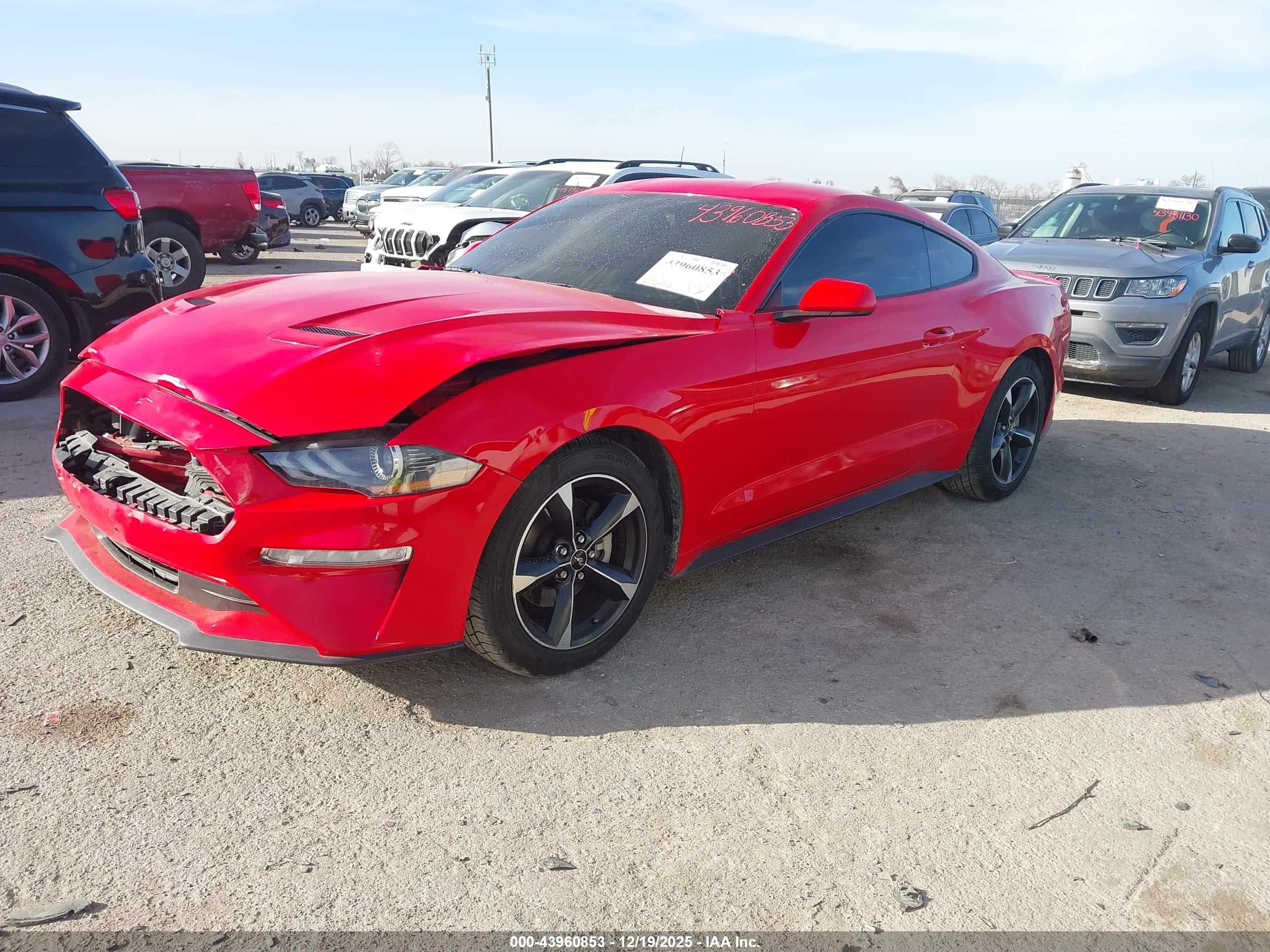 FORD MUSTANG image 2