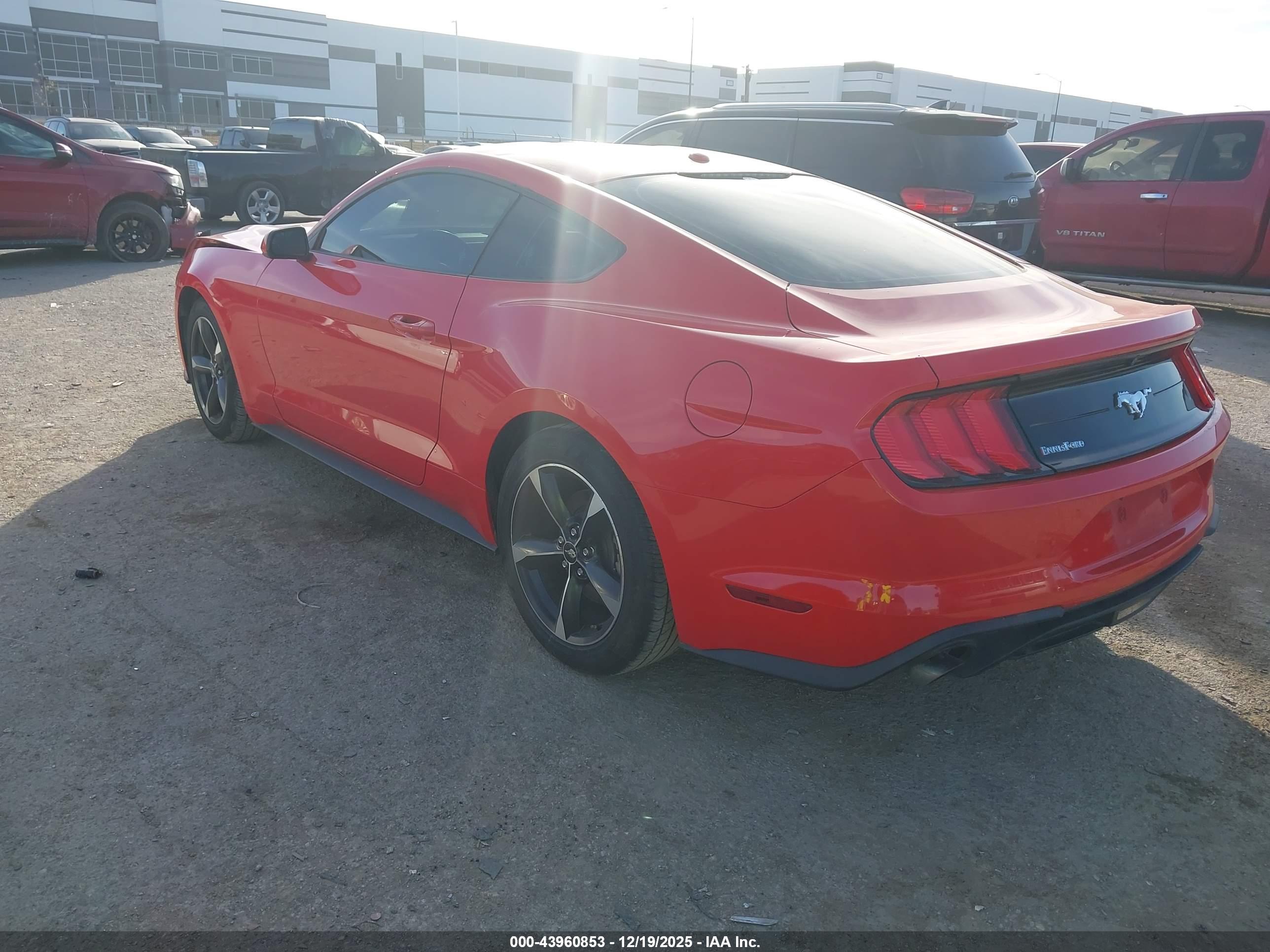 FORD MUSTANG image 3