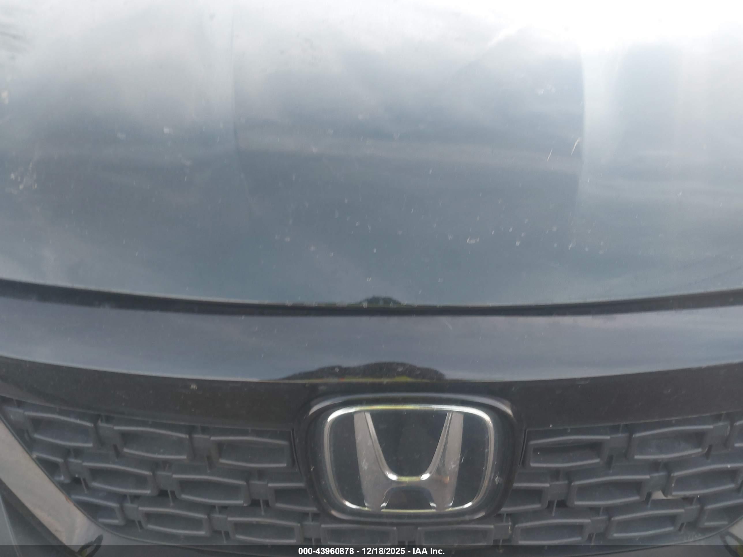 HONDA PASSPORT image 10