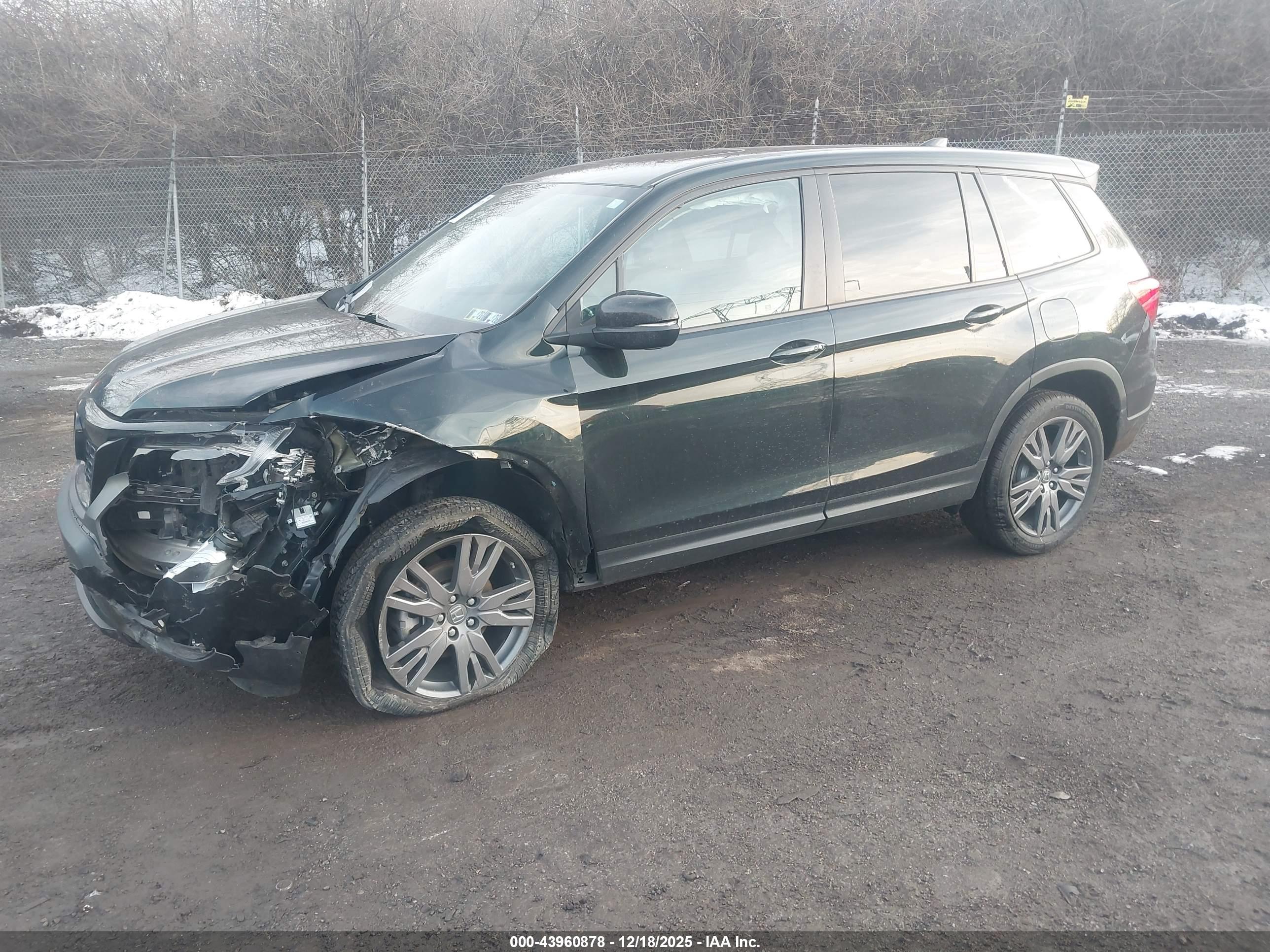 HONDA PASSPORT image 2