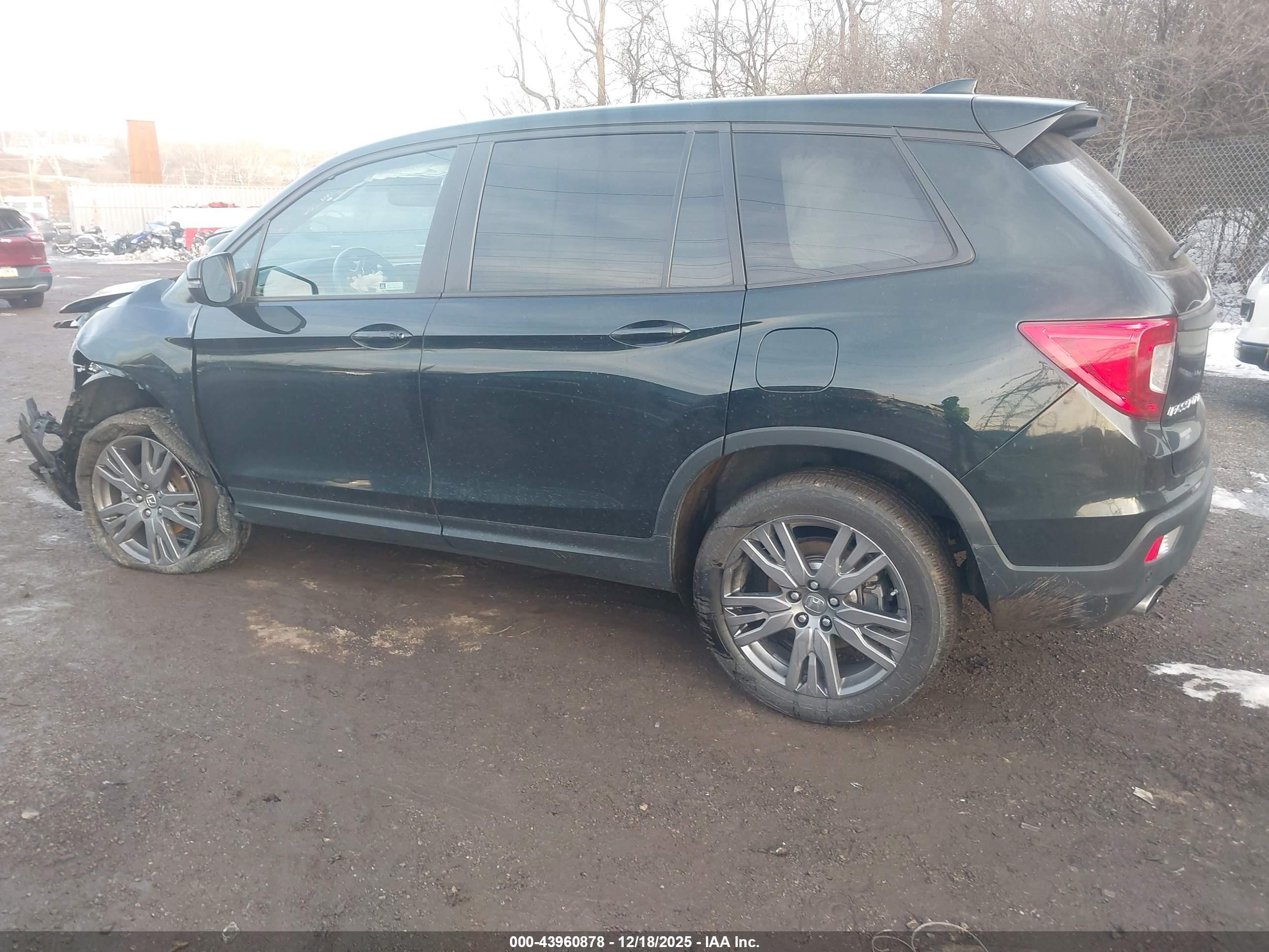 HONDA PASSPORT image 3