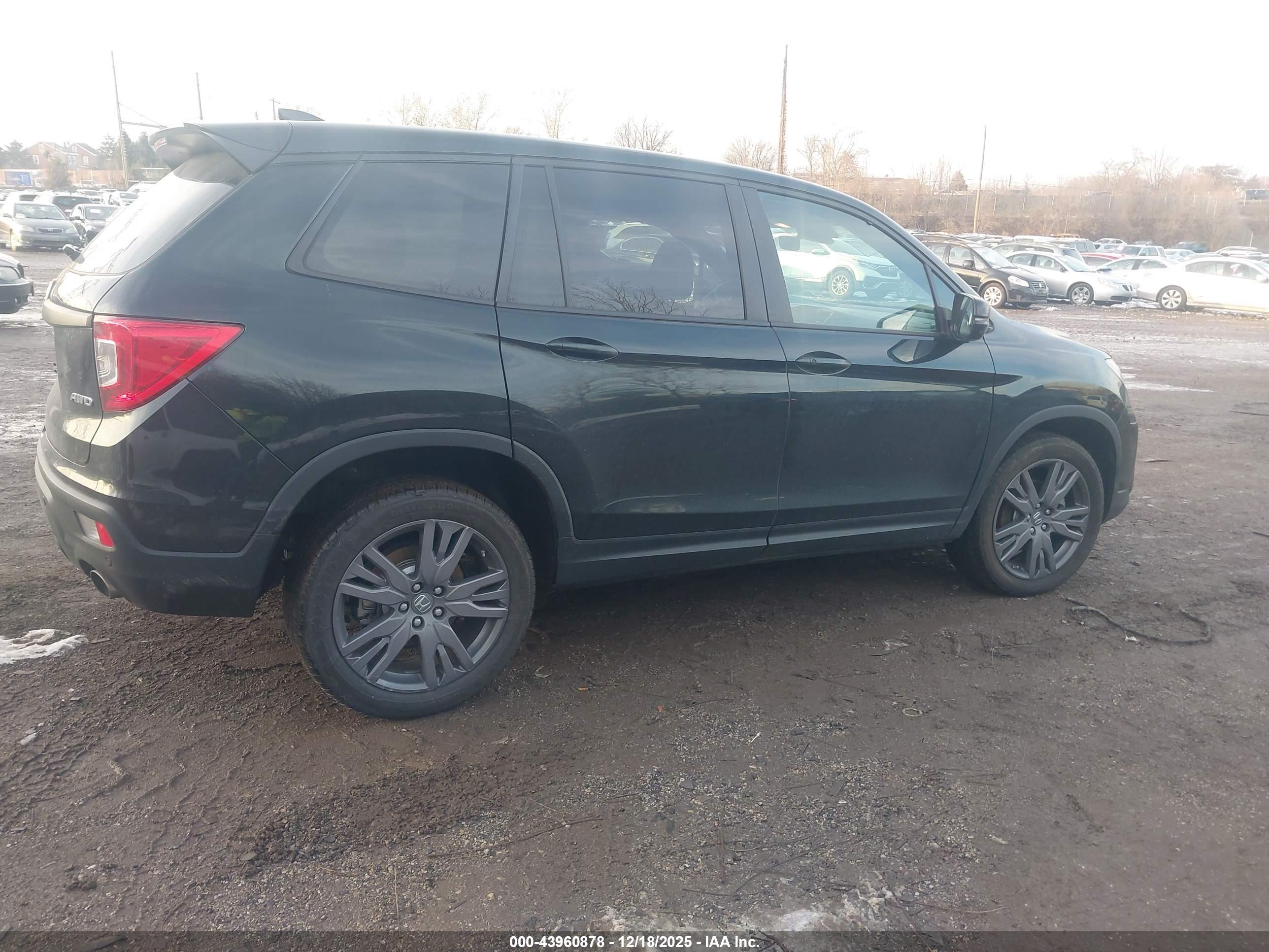 HONDA PASSPORT image 4