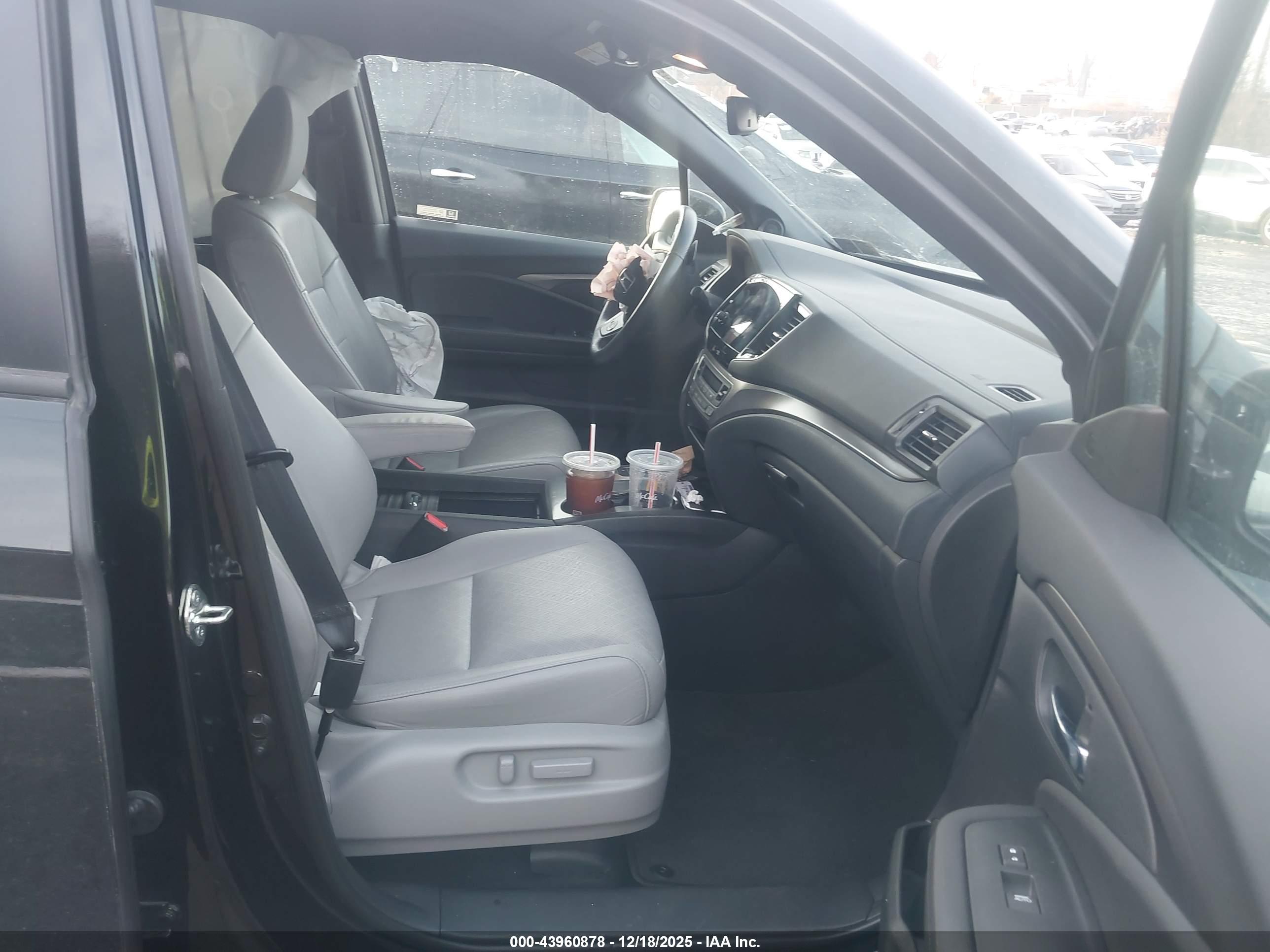 HONDA PASSPORT image 5